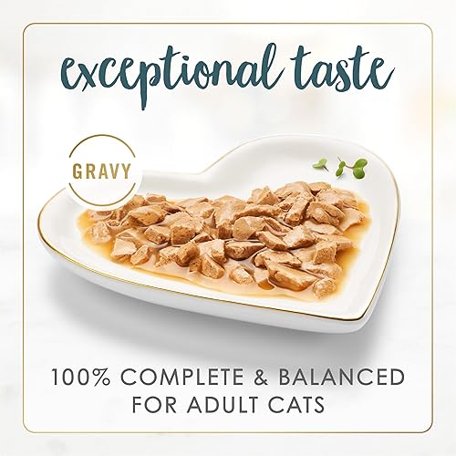 Miniatura 2 de Purina Fancy Feast Gravy Lovers Alimento húmedo para gatos, pavo en salsa de pavo rostizado, 24 unidades de 3 onzas cada una -