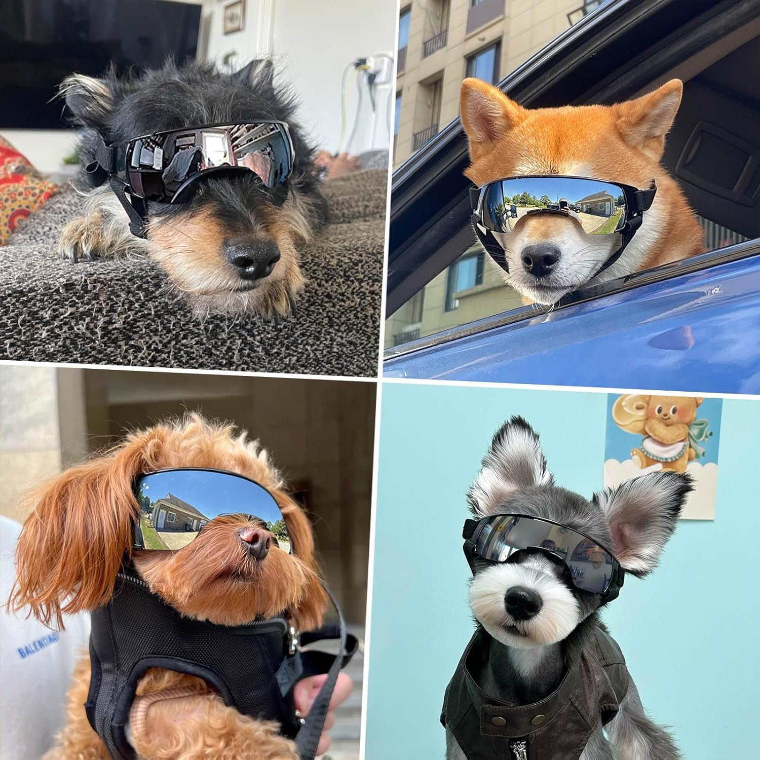 Occhiali x cani piccola taglia,Occhiali da Sole per Cani,UV con Cinturino Elastico Regolabile Antivento,per Cani di Taglia Piccola Media All' Aperto Protezione per Gli Occhi (nero)