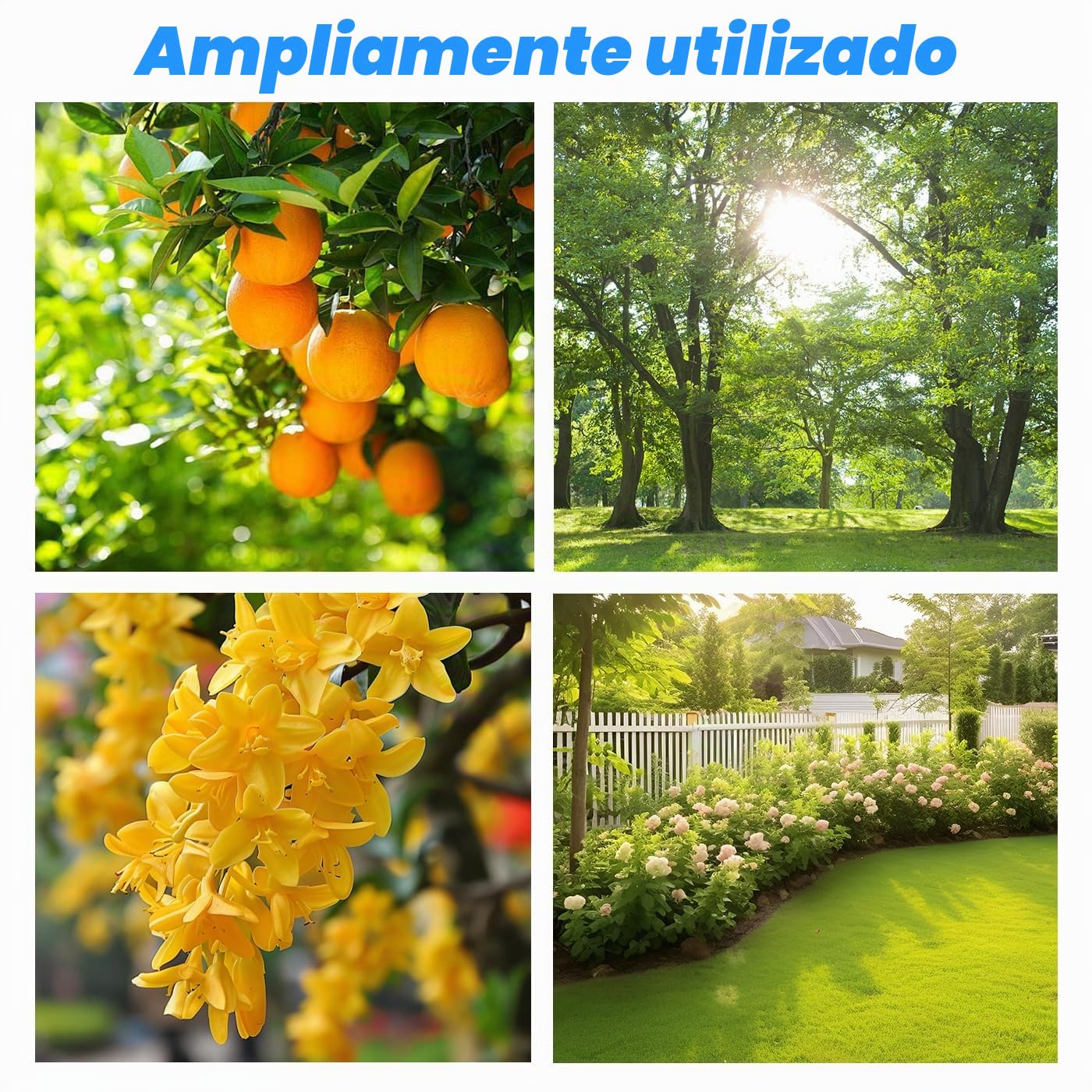 Sierra de mano de rama alta con poste inalámbrico 3 en 1, tijeras de podar eléctricas con varilla telescópica de 2 m, apertura de tijera de 2,5 cm, tijeras de jardín eléctricas inalámbricas
