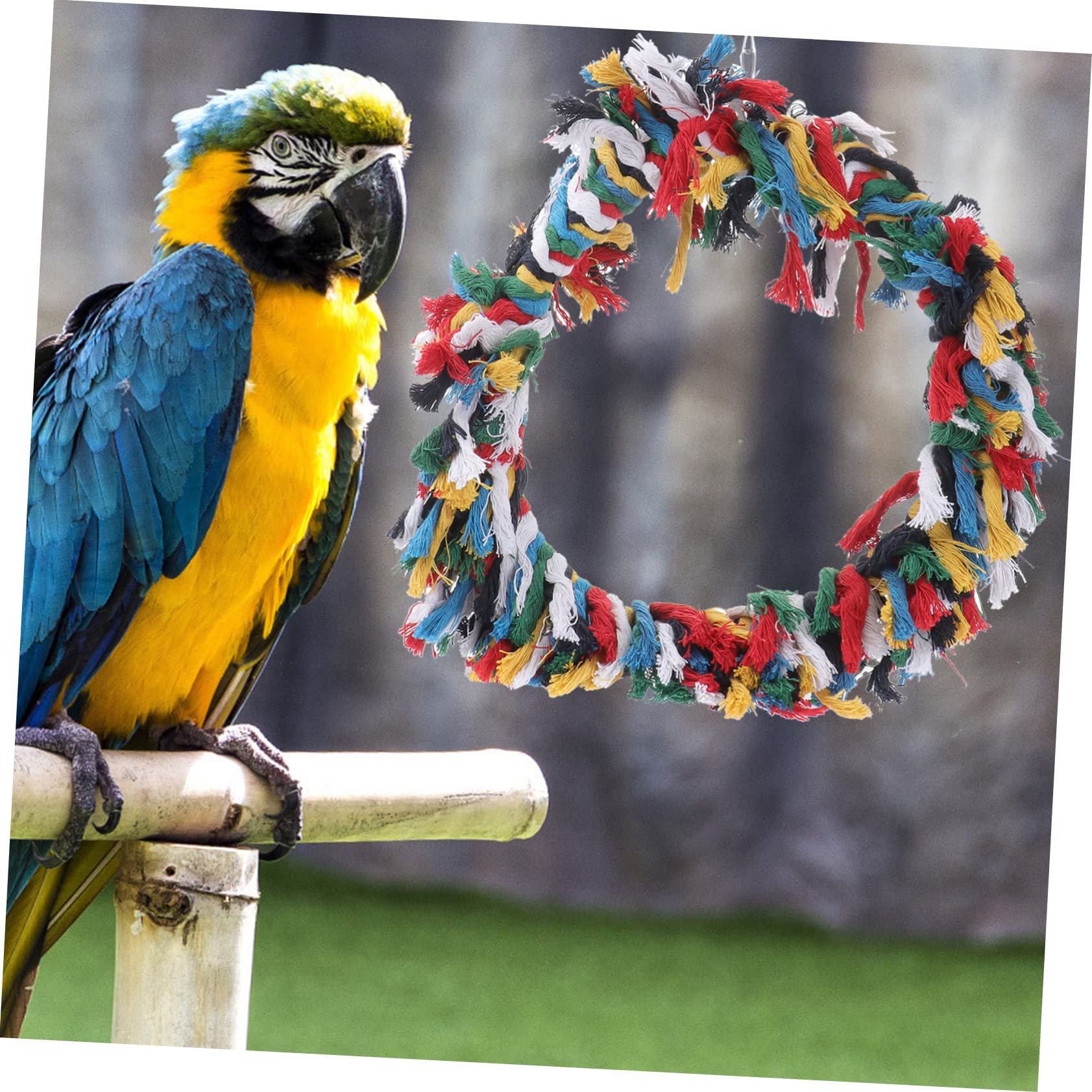 Sosoport 2pezzi Giocattolo Per Pappagalli Cotone Anello Snuggle Colorato Per Uccelli Accessorio Per Arrampicarsi e Preening Gioco Divertente Per Pappagalli Africani e Cockatoos Colori