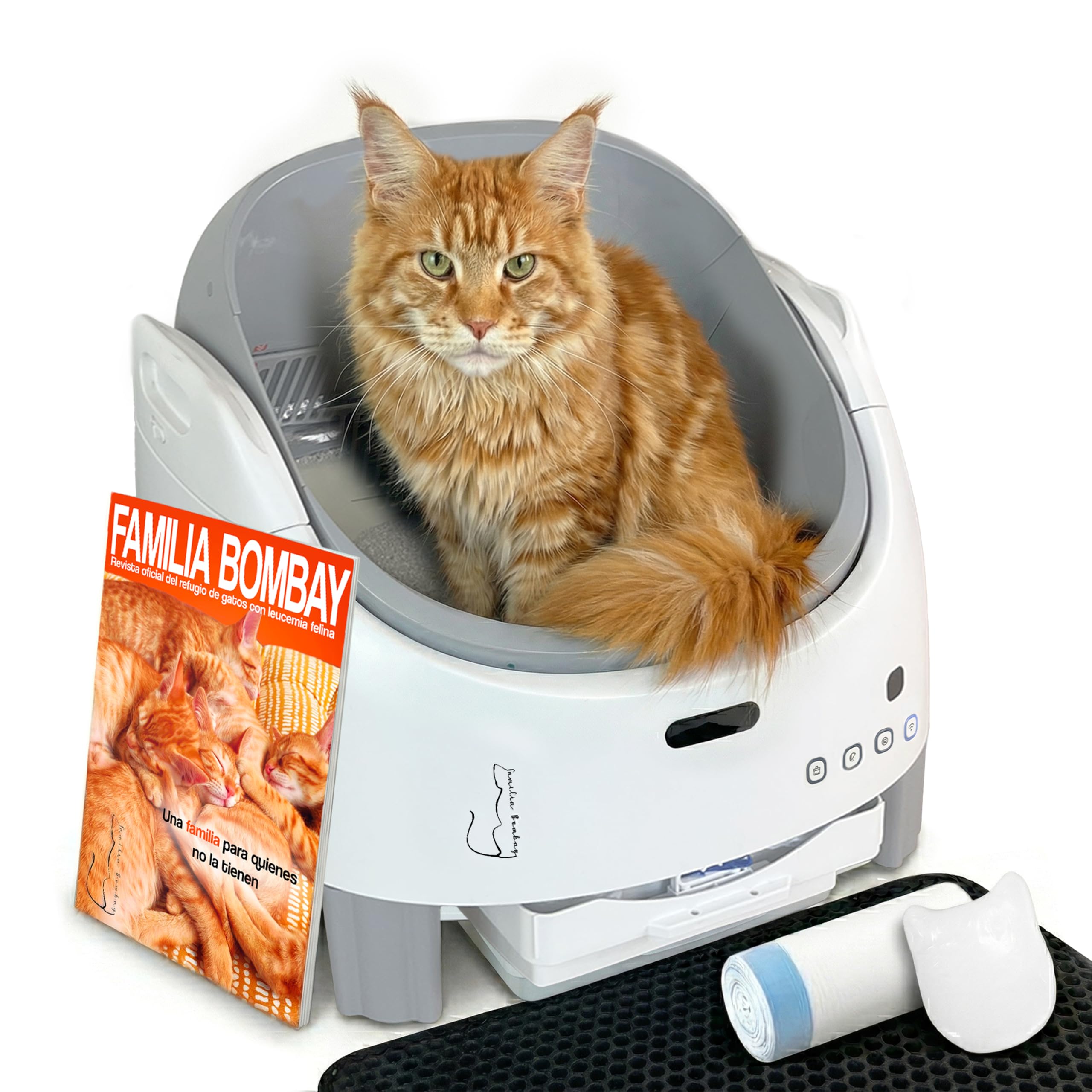 Arenero Automatico Familia Bombay - Arenero Gatos Autolimpiable - Caixa de Areia para Gatos Automatico - Arenero Electrico - Automatic Cat Litter Box Cleaning - ONG contra la Leucemia - Inteligente