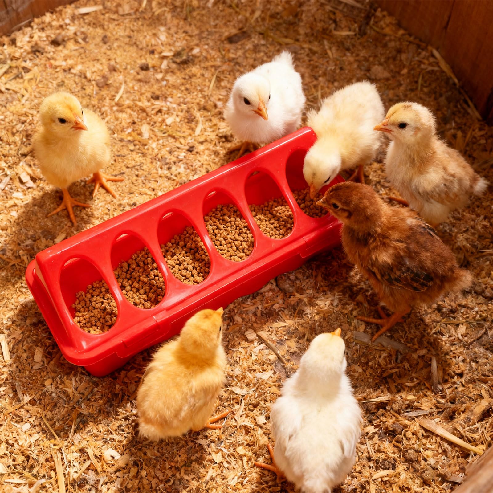 Paquete de 1 juego de crianza que incluye bebedero de estufa para pollitos, juego de criadores de aves de corral, paquete de lámpara segura