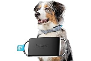 Minitailz: The Ultimate Dog Tracking and Health Monitoring Device