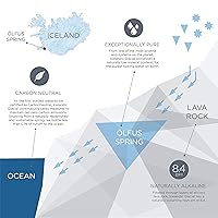 Vista 4 de Agua natural de manantial Icelandic Glacial