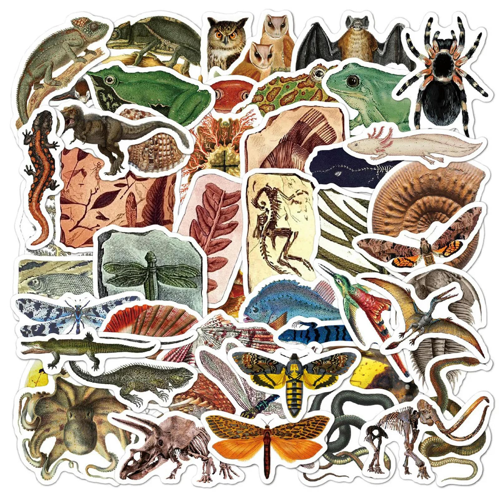 10/50Pcs Paleontology Stickers for Laptop Water Bottle Bicycle Skateboard Waterproof Car Luggage Sticker Anime Pack Decal Toys