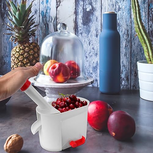 Miniatura 4 de Operitacx Gadgets de cocina con contenedor, herramienta removedor de piedra de uva y fruta, removedor de núcleo de fruta para hacer pasteles y