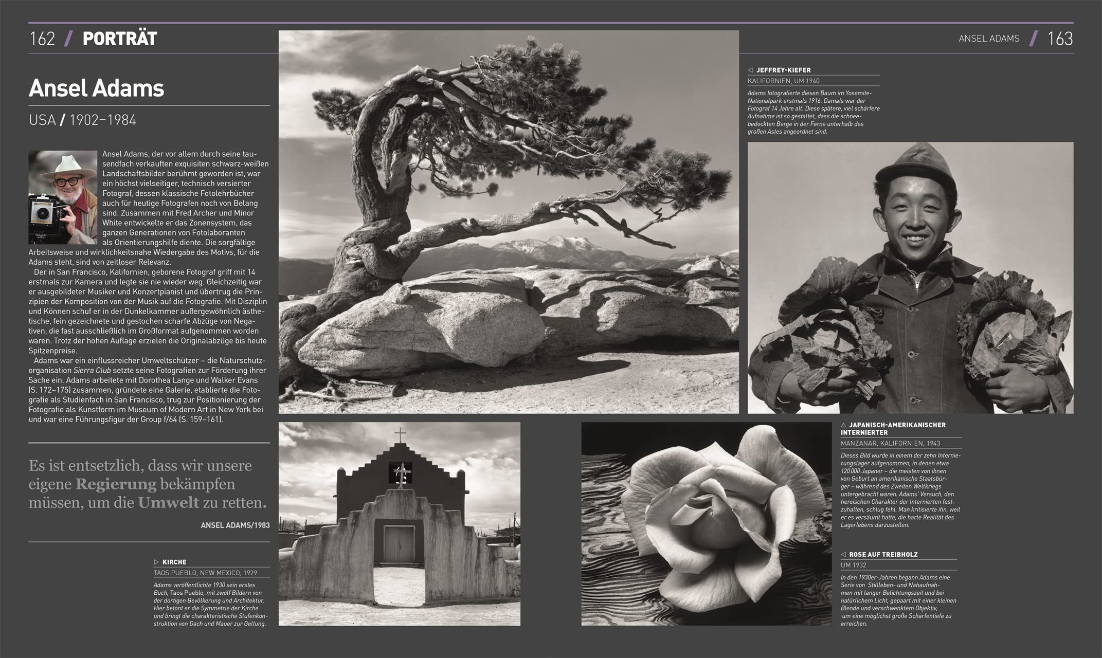 Fotografie: Die visuelle Geschichte. Über 1500 weltberühmte Fotografien und die wichtigsten Fotograf*innen aus allen Epochen (DK Schöne Künste)