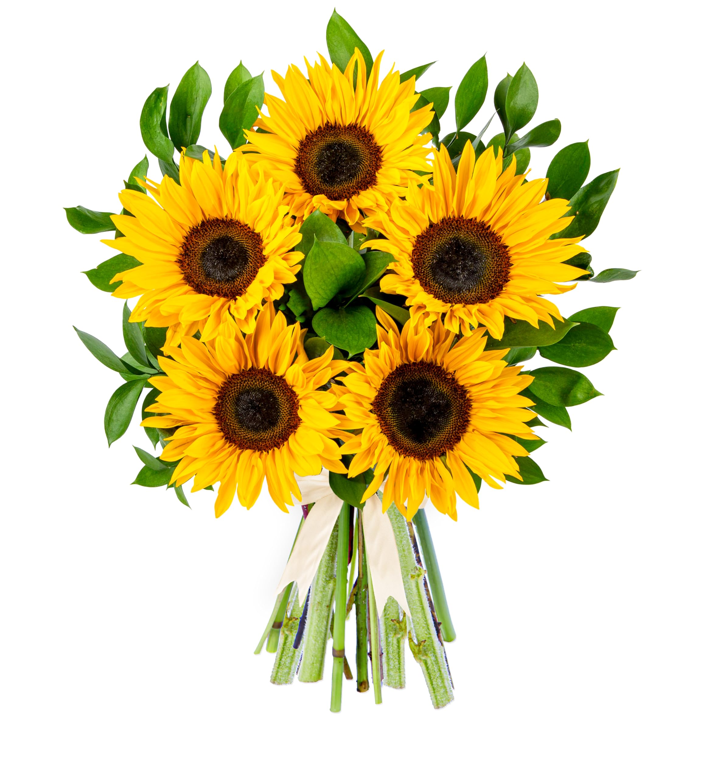 Fields Of Gold Sunflower Bouquet - Fresh Cut Summer Flowers for Birthdays, Anniversaries, or Thank You Gifts – Bright and Cheerful Floral Arrangement (Large)