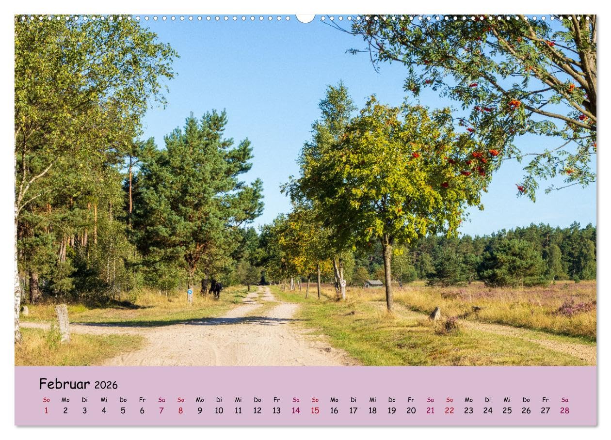 Lüneburger Heide Wege (hochwertiger Premium Wandkalender 2026 DIN A2 quer), Kunstdruck in Hochglanz: Einzigartige Heidelandschaft erleben (CALVENDO Natur)