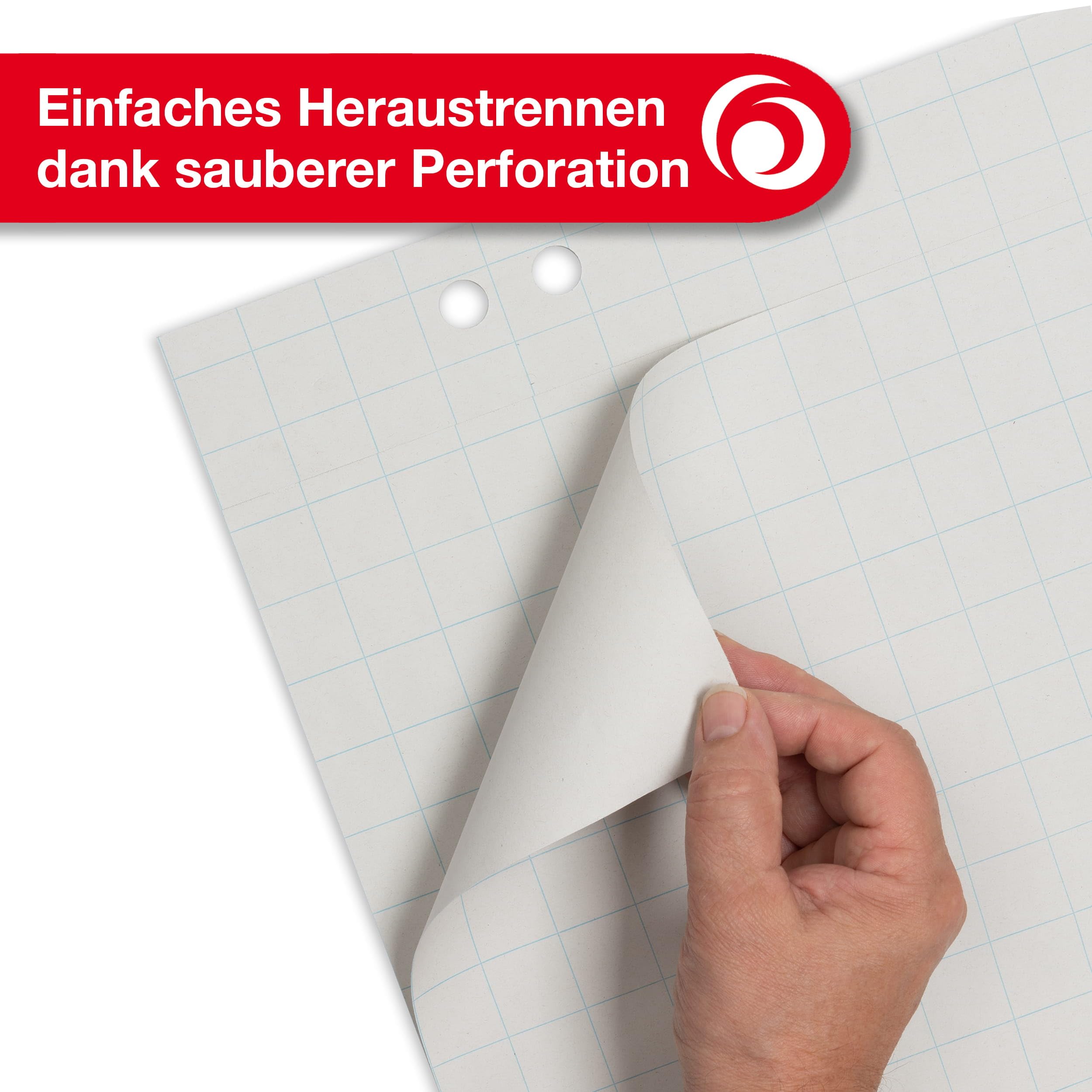 herlitz Flipchartpapier Recycling , kariert, mit 20 Blatt je Block, gerollt verpackt, 6 fach Lochung, 5 Stück