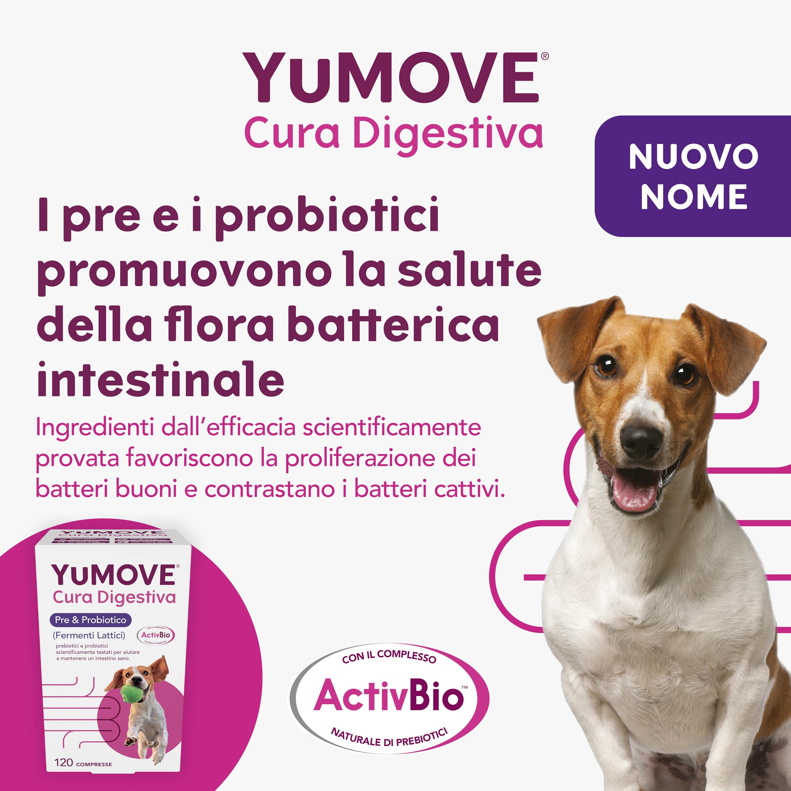 YuMOVE Fermenti Lattici Cane & Probiotici per Cani - 120 Compresse - 200 Mio CFU Enterococcus faecium per Compressa + ActivBio Prebiotici con Beta-Glucani - Probiotico Digestivo per Cani & Supporto
