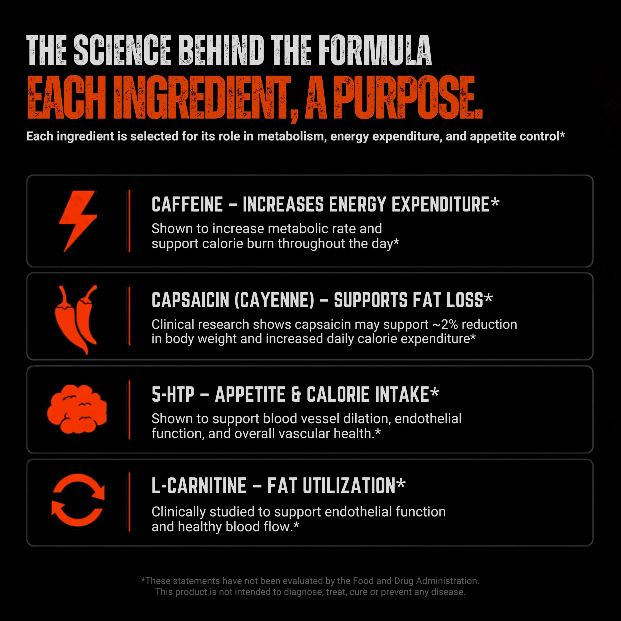 Fat Burner for Men with Clinical Dose Forskohlii, L-Carnitine, & Capsacin — Amazon image 8