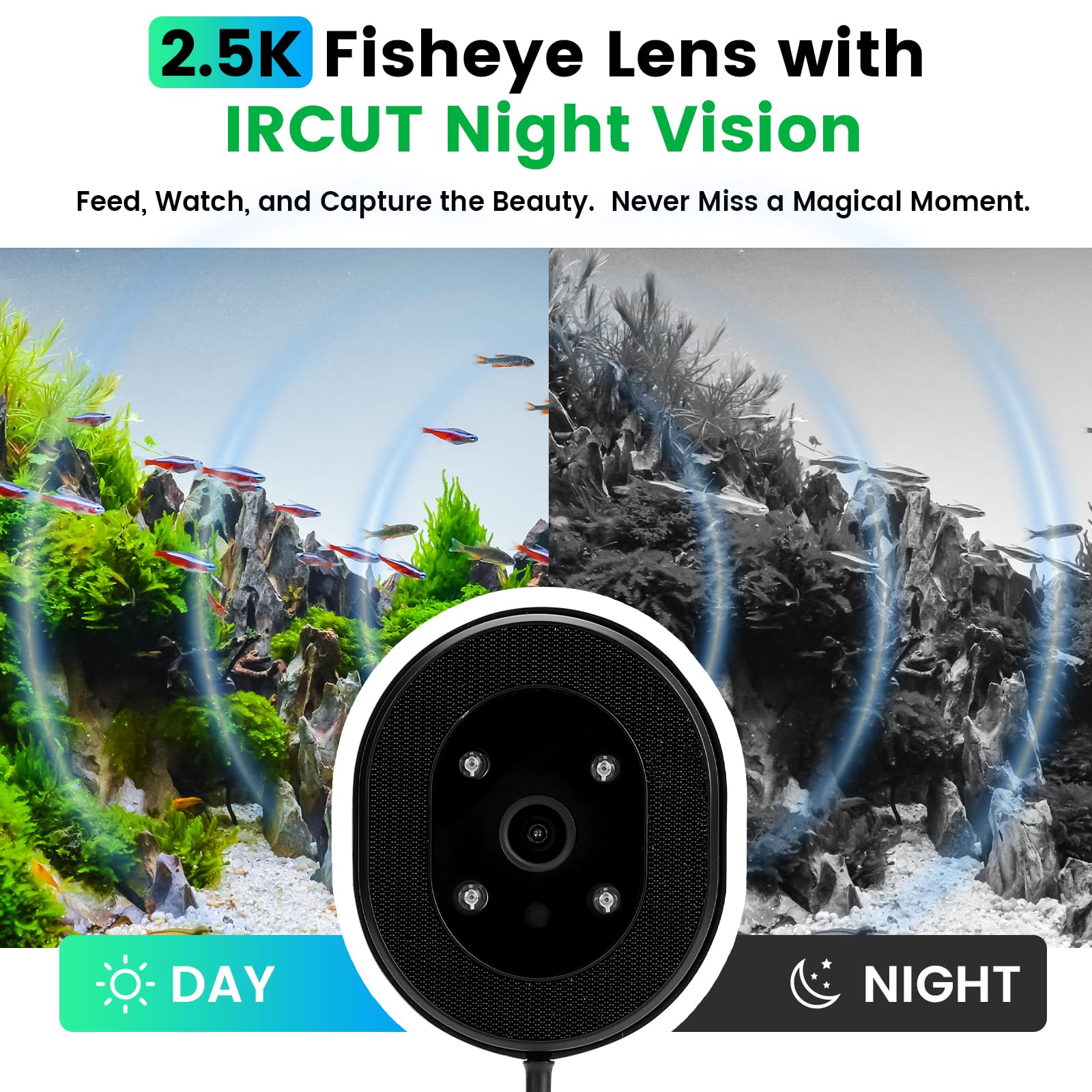fishkeeper Mangiatoia automatica WiFi per acquario con fotocamera HD e app | Mangime automatico programmabile per pesci, con timer, 230 ml, per fiocchi, tartarughe, Wi-Fi (2,4/5 GHz)