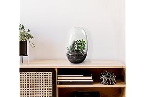 Bloomingville Large Transparent Glass Terrarium Jar