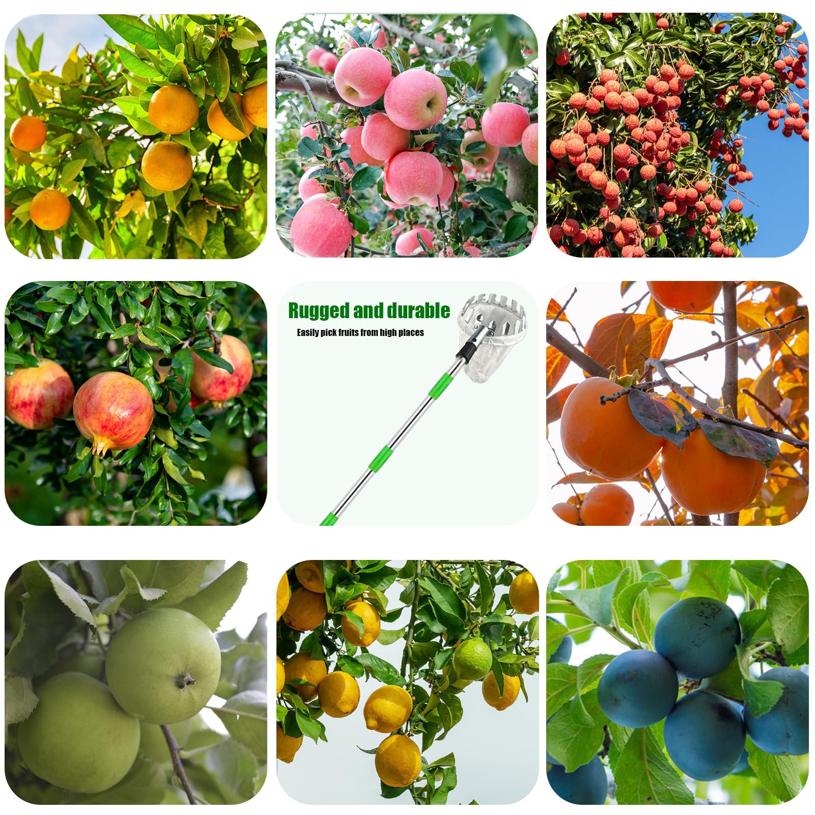 Raccogli Frutta Telescopico 2.2m Raccoglifrutta Raccogli Frutta con Manico Telescopico per Raccogliere Mele Ciliegie Pere Pesche con Sacchetto di Cotone Ø16 cm.