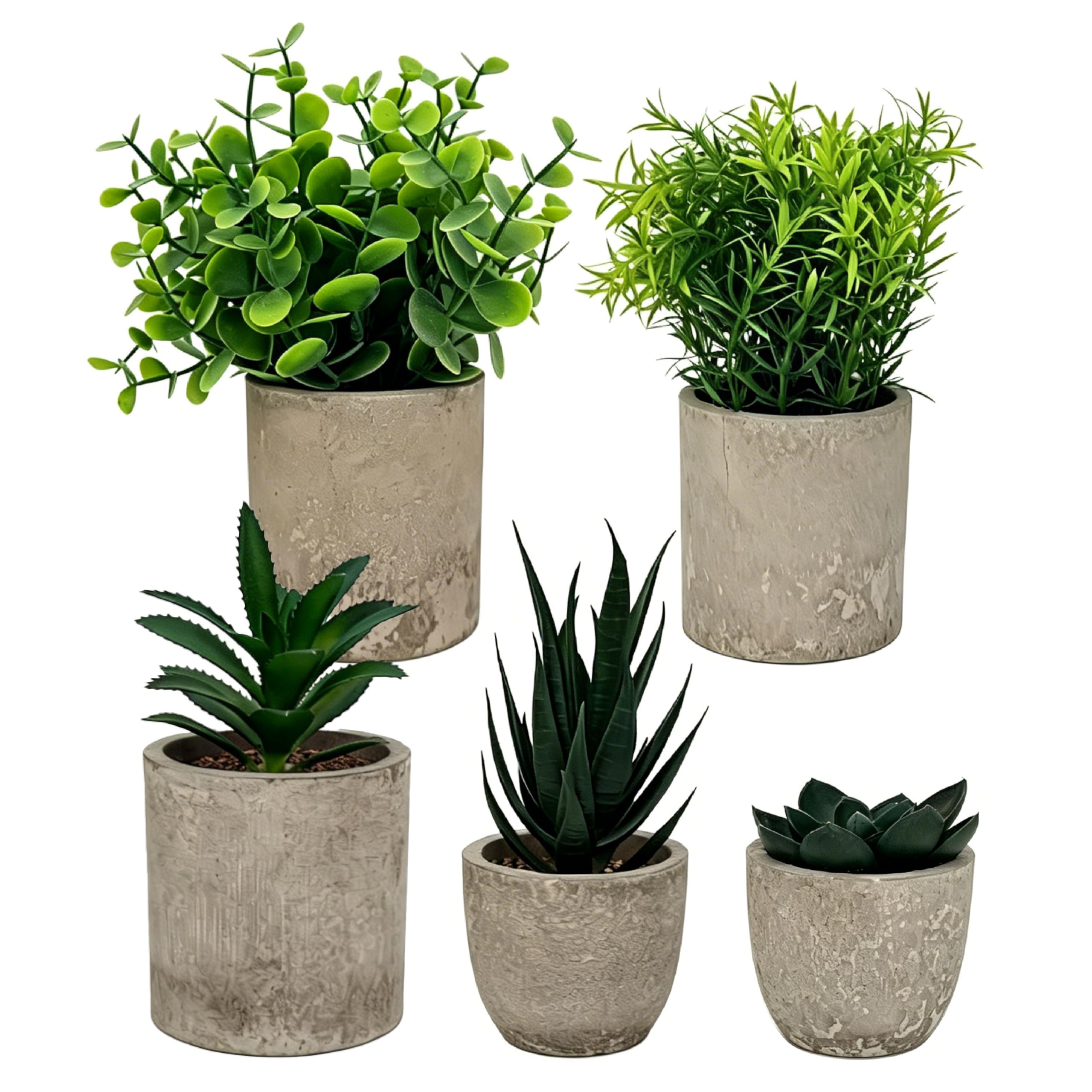 Lot de 5 plantes artificielles pour décoration de salon, mini plantes artificielles (agave, aloe, langue serpent), idéales pour chambre à coucher, salle de bain, cuisine, bureau, rebord de