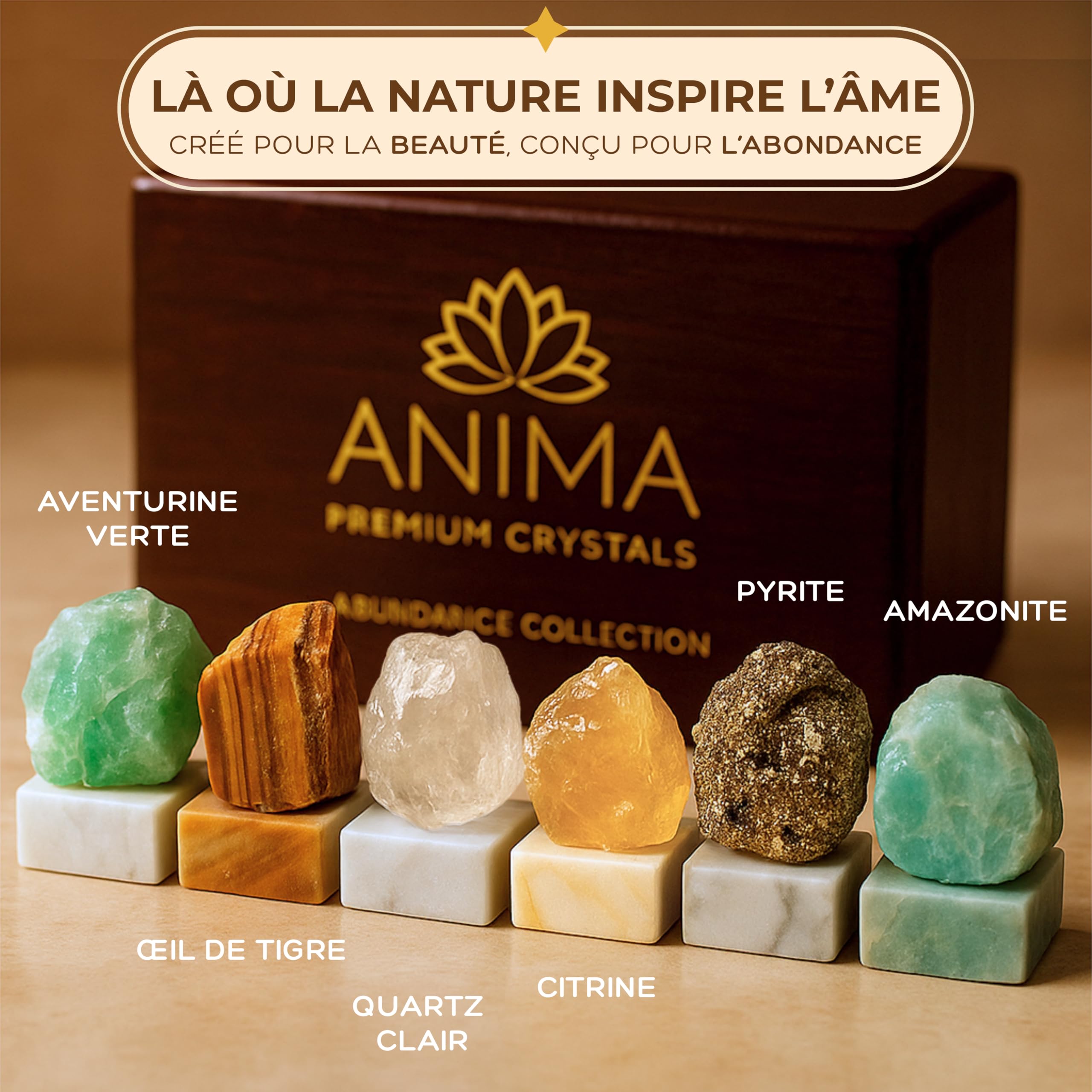ANIMA Coffret en Pierres Précieuses d’Abondance pour Prospérité, Chance & Succès – Cristaux Naturels Bruts: Citrine, Pyrite, Œil de Tigre, Aventurine, Amazonite & Quartz Clair – Boîte Cadeau en Bois