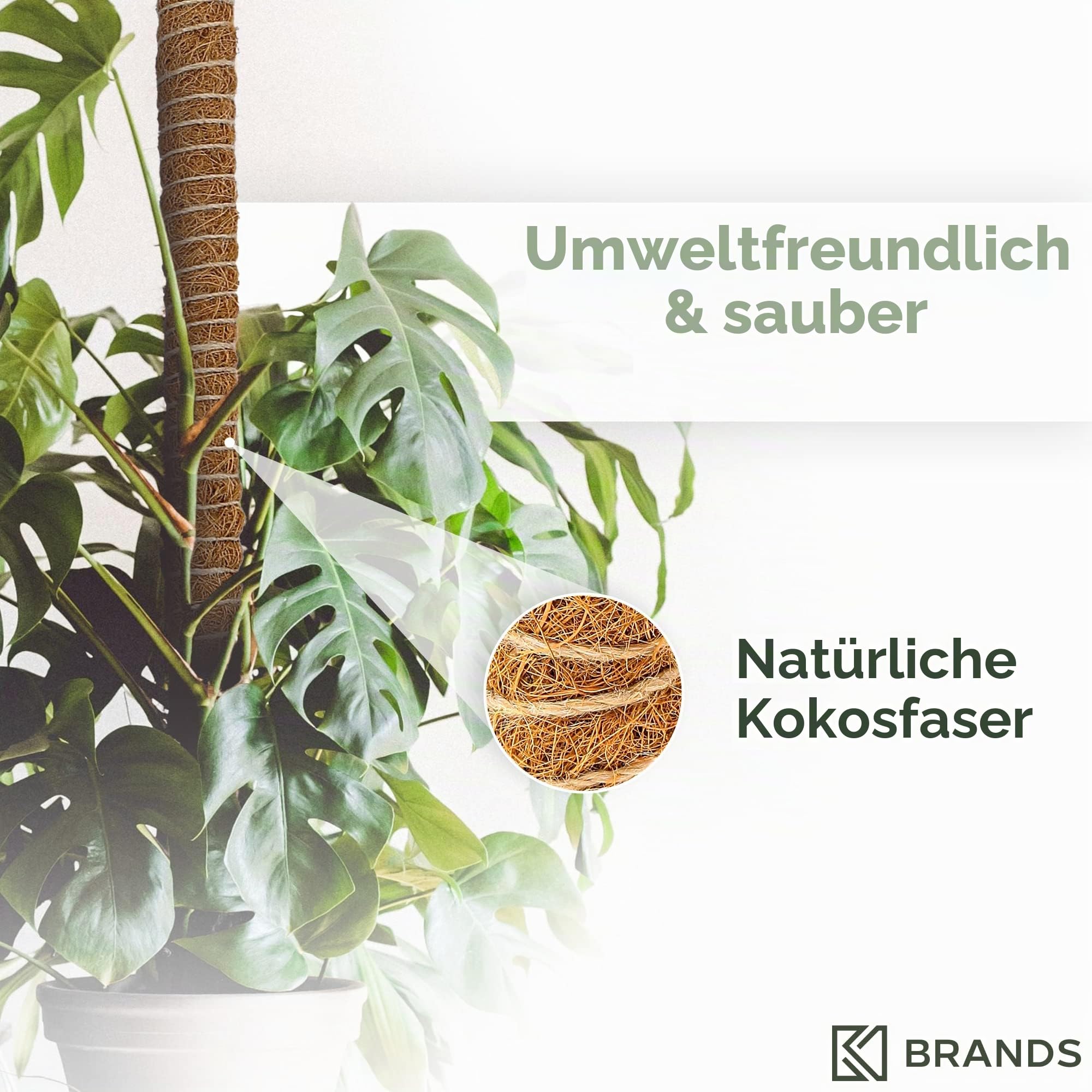 K-Brands 160 cm Moosstab für Monstera 2 Pack Biegsame Kokosfasern Pflanzenstütze für Kletterpflanzen -Rankhilfe für Monstera - Rankhilfe Blumenstab - Pflanzstab mit 3 m Pflanzenbinder