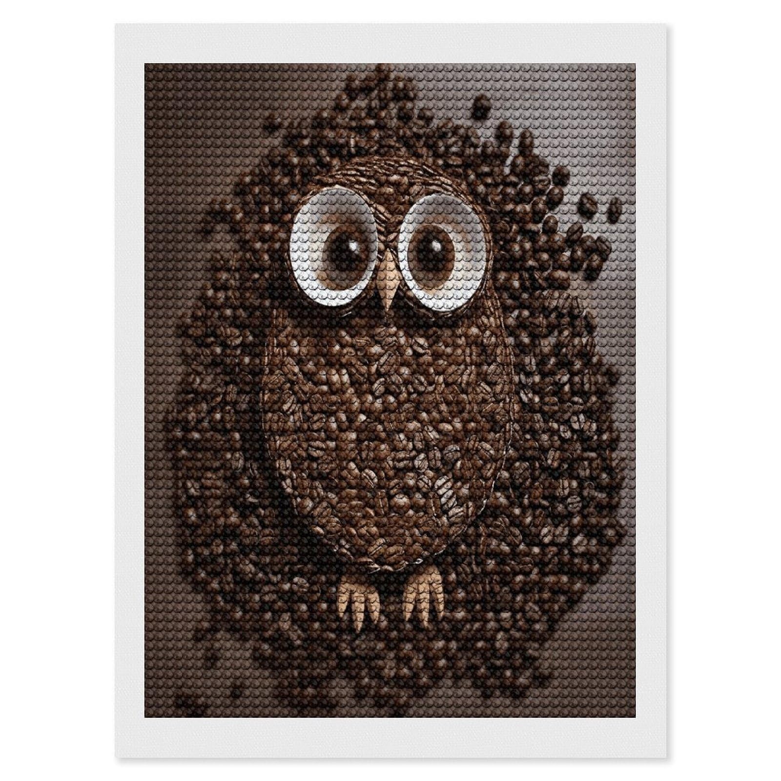 FekiLoot Coffee Bean Owl Paint by Numbers Kit for Adults Beginner DIY Diamond Dots Paintings Round Full Drill Diamond Art Kits Picture Diamond Art Painting Kits for Home Decor 12"x16"
