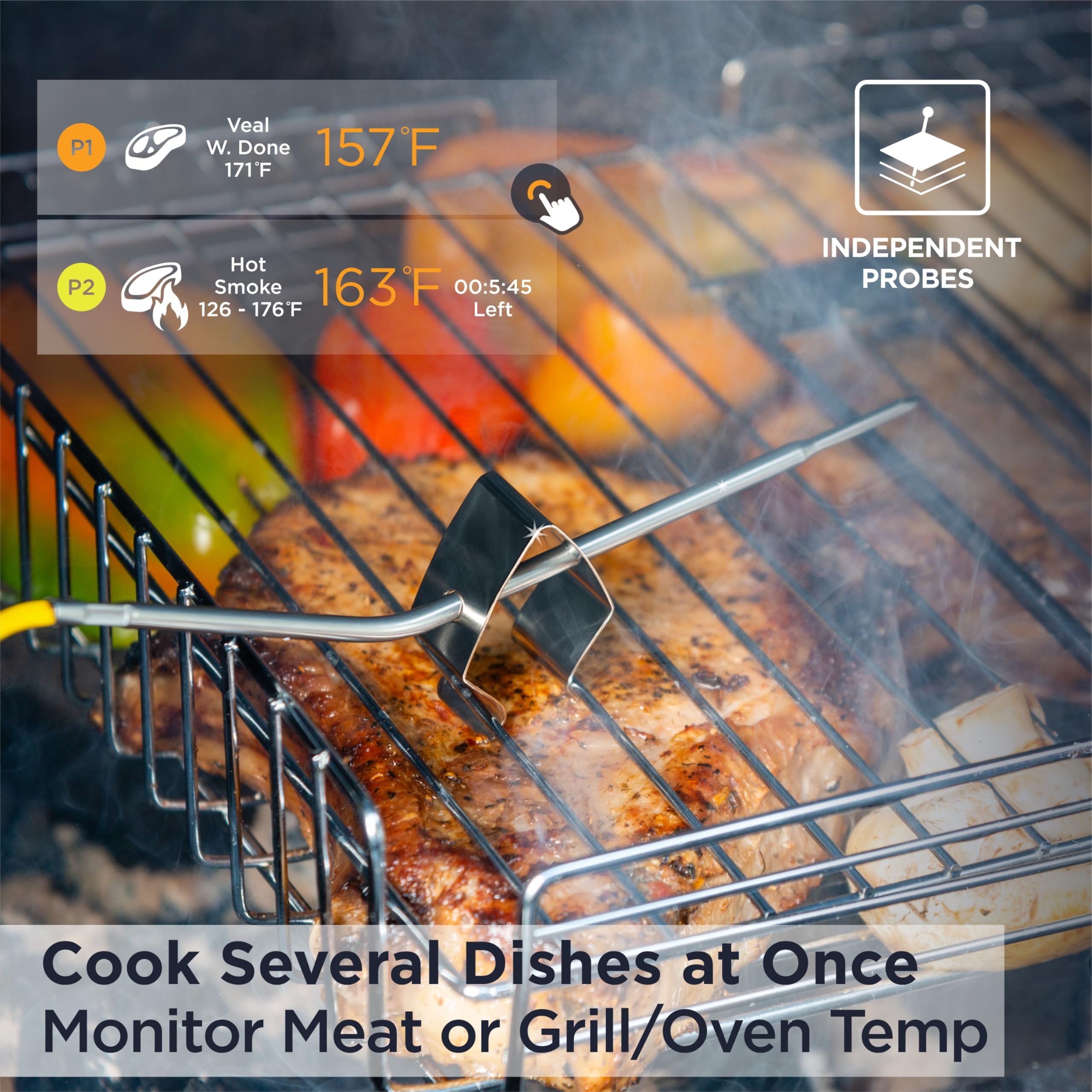 Deiss PRO Bezprzewodowy Termometr do Mięsa Bluetooth – Cyfrowy Termometr Kuchenny z 2 sondami, Termometr do Pieca, Wędzarni, Grilla, BBQ