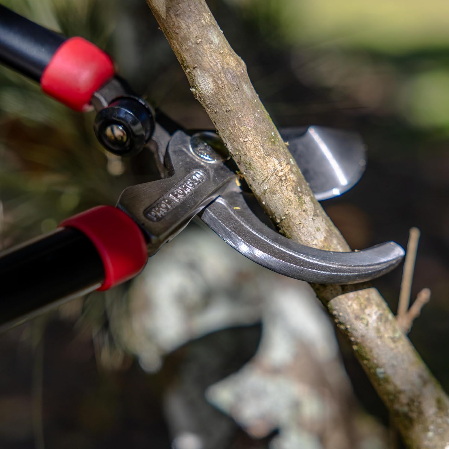 Radius Garden 27'' Forged Bypass Lopper – Durable, Precision Blades for Effortless Cutting