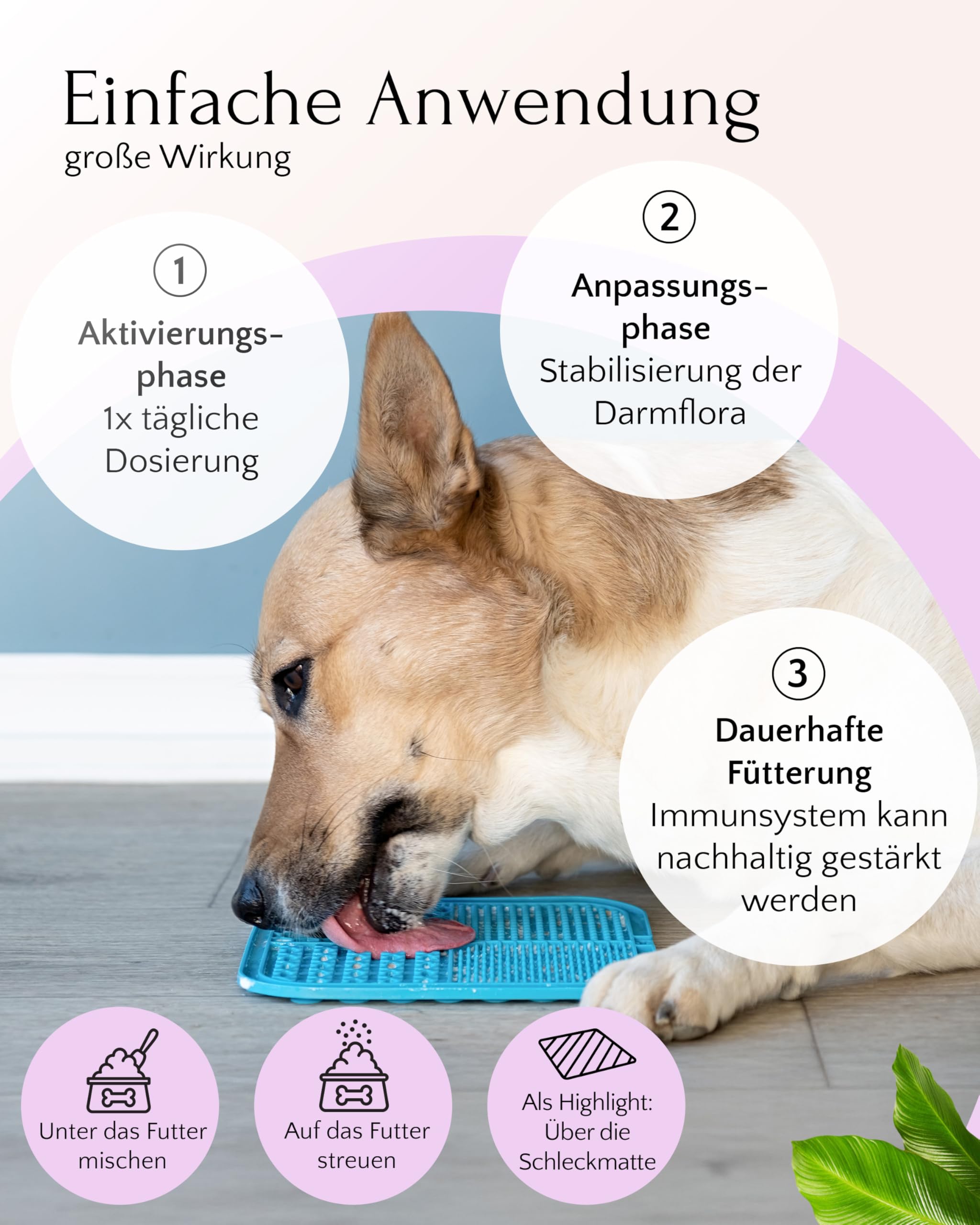 FAVLY – FloraVITAL Darmflora Pulver 2x250g für Hunde & Katzen – Topping zur Unterstützung von Darm, Verdauung & Immunsystem – mit Inulin, Flohsamenschalen & Beta-Glucanen – Ohne Getreide & Zusätze