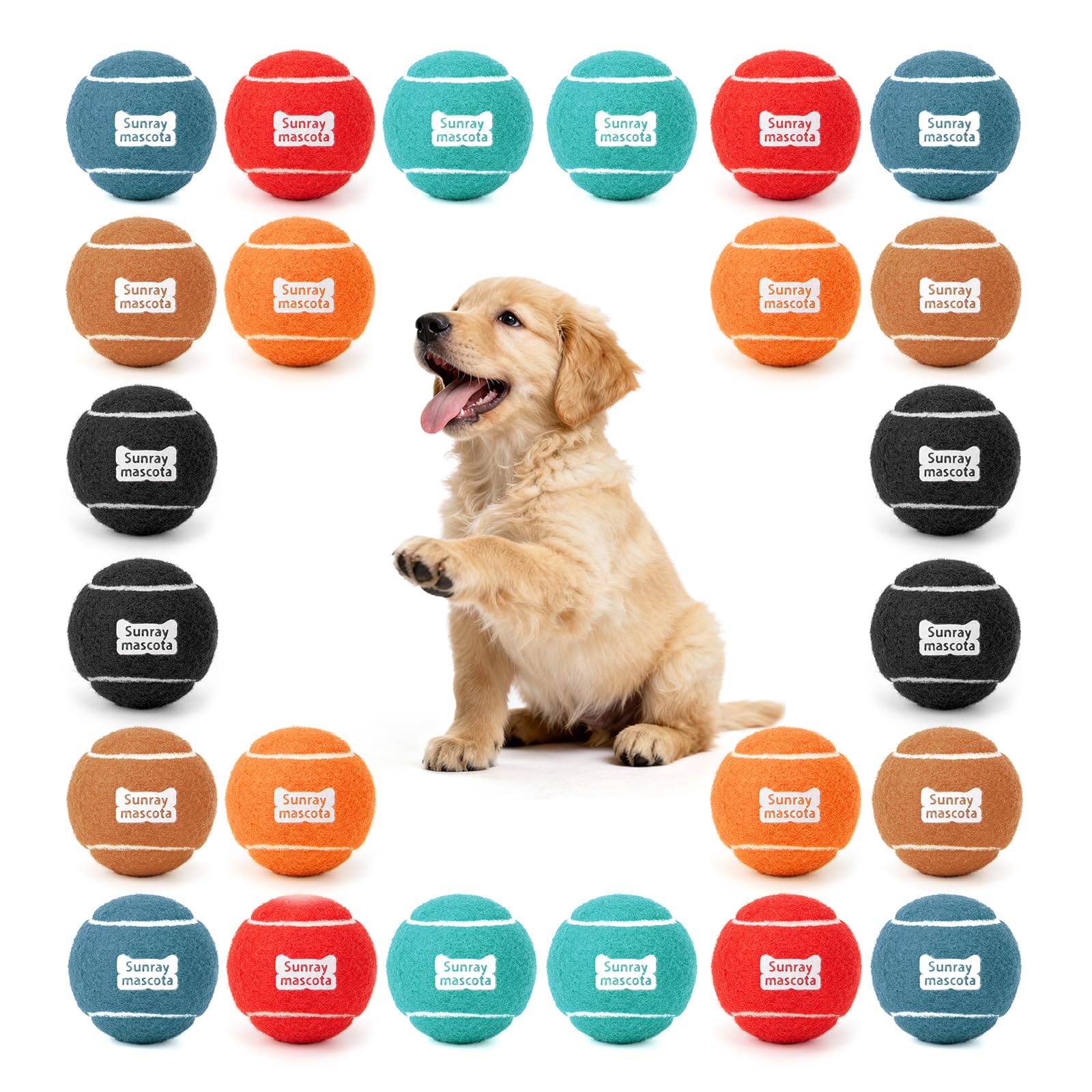 Sunraymascota 24-Pack Tennis Balls for Dogs Fetch Toy for Beginner Practice
