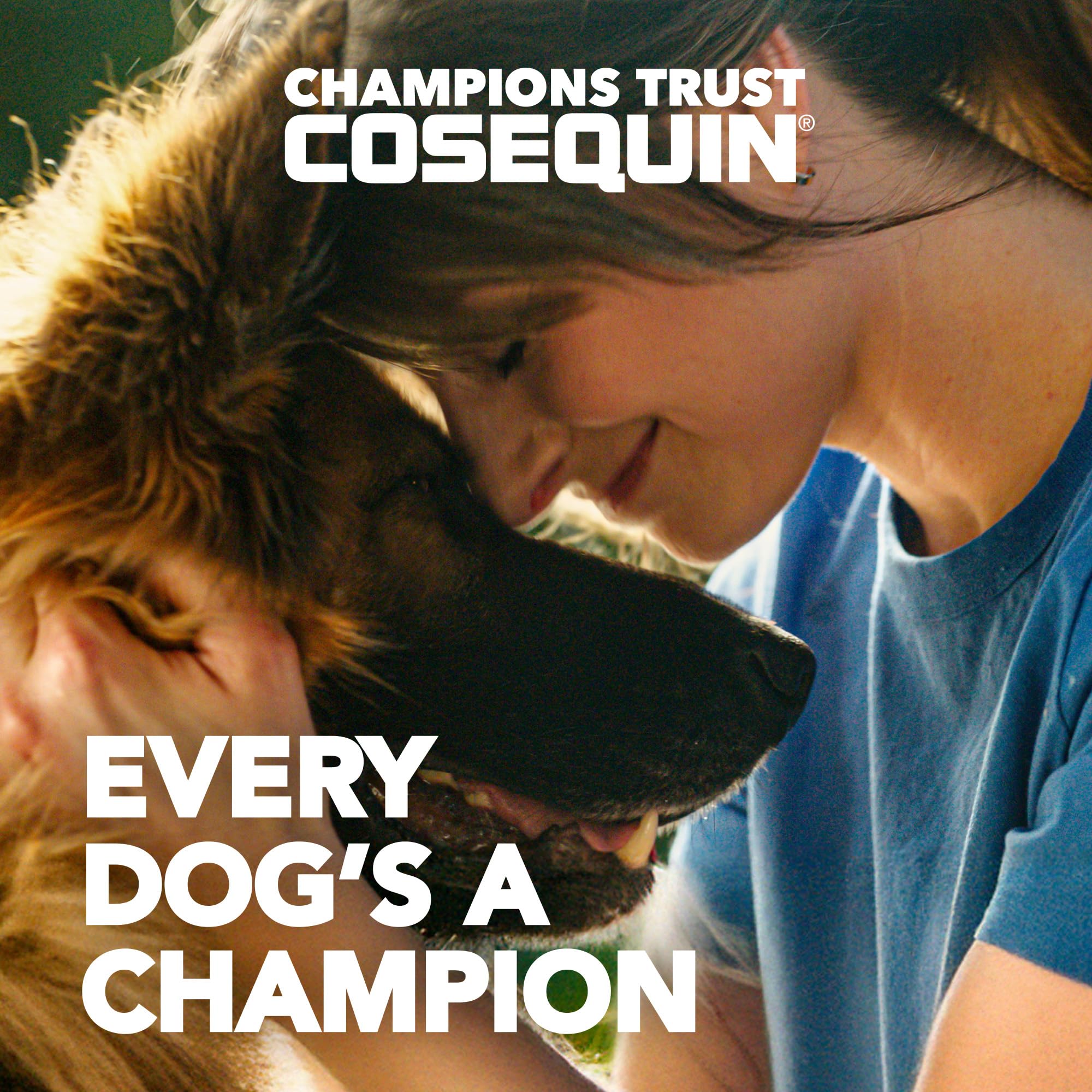 Nutramax Cosequin Nutramax Ds Chewables Plus Msm, 60 Ct, Dog, Tablet 2