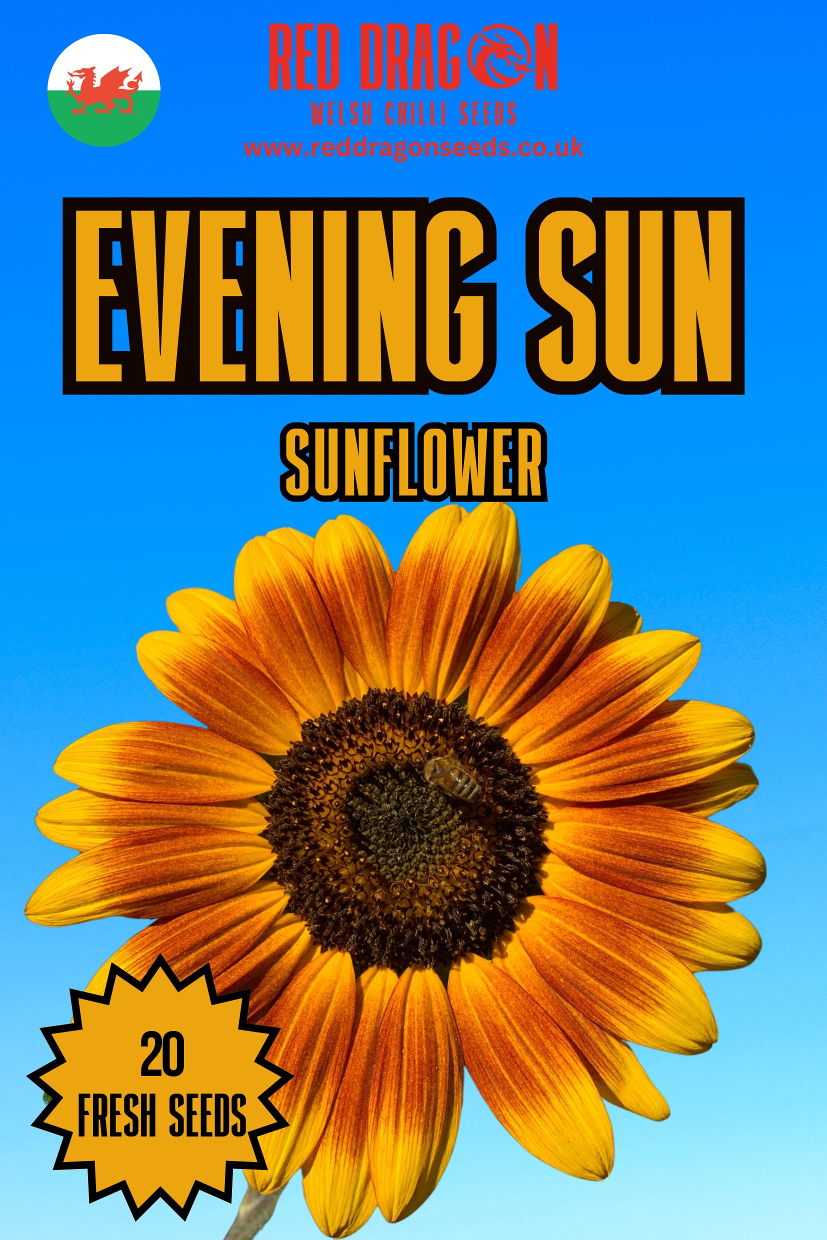Sunflower Seeds. (Evening-Sun) — image 1