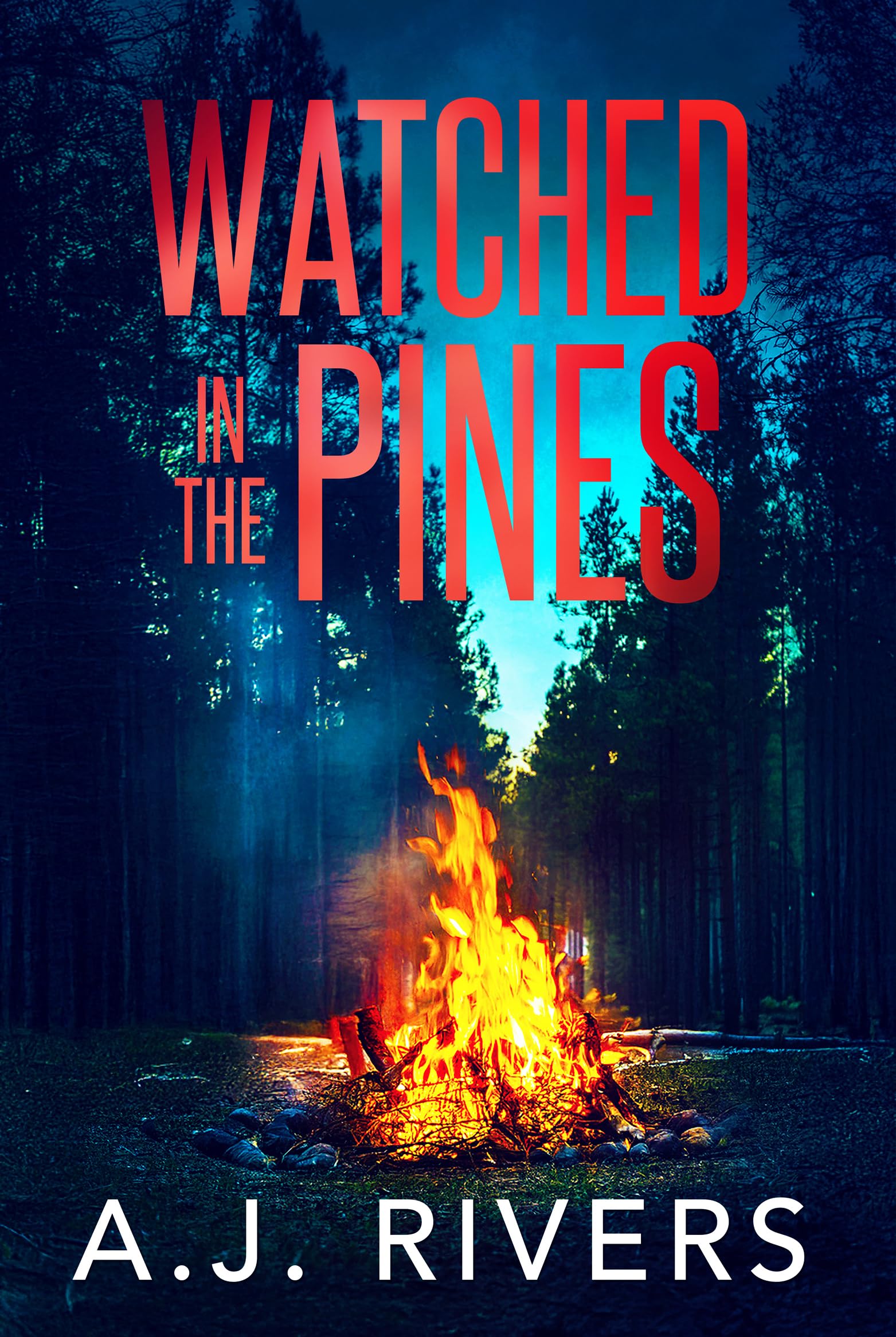 Watched in the Pines (A Detective Riley Quinn Pine Brooke Mystery Book 6)