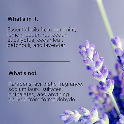 Miniatura 3 de Public Goods Loción corporal y de manos para mujeres y hombres  Loción diaria hidratante natural para piel seca y con picazón  Sin parabenos ni