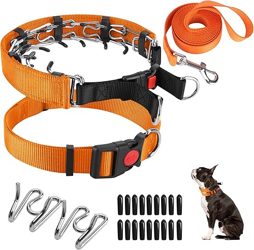 Miniatura 1 de Collar de entrenamiento de puntas para perro, collar de estrangulamiento para perro con cubierta de nailon, puntas de comodidad y hebilla de