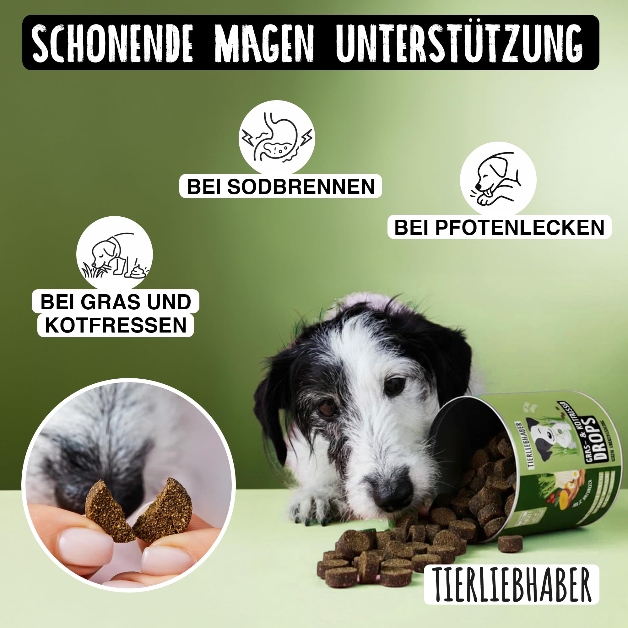 TIERLIEBHABER Gras- & Kotfresser Drops bei Sodbrennen Hund mit Ulmenrinde 350 g ca. 160 Drops