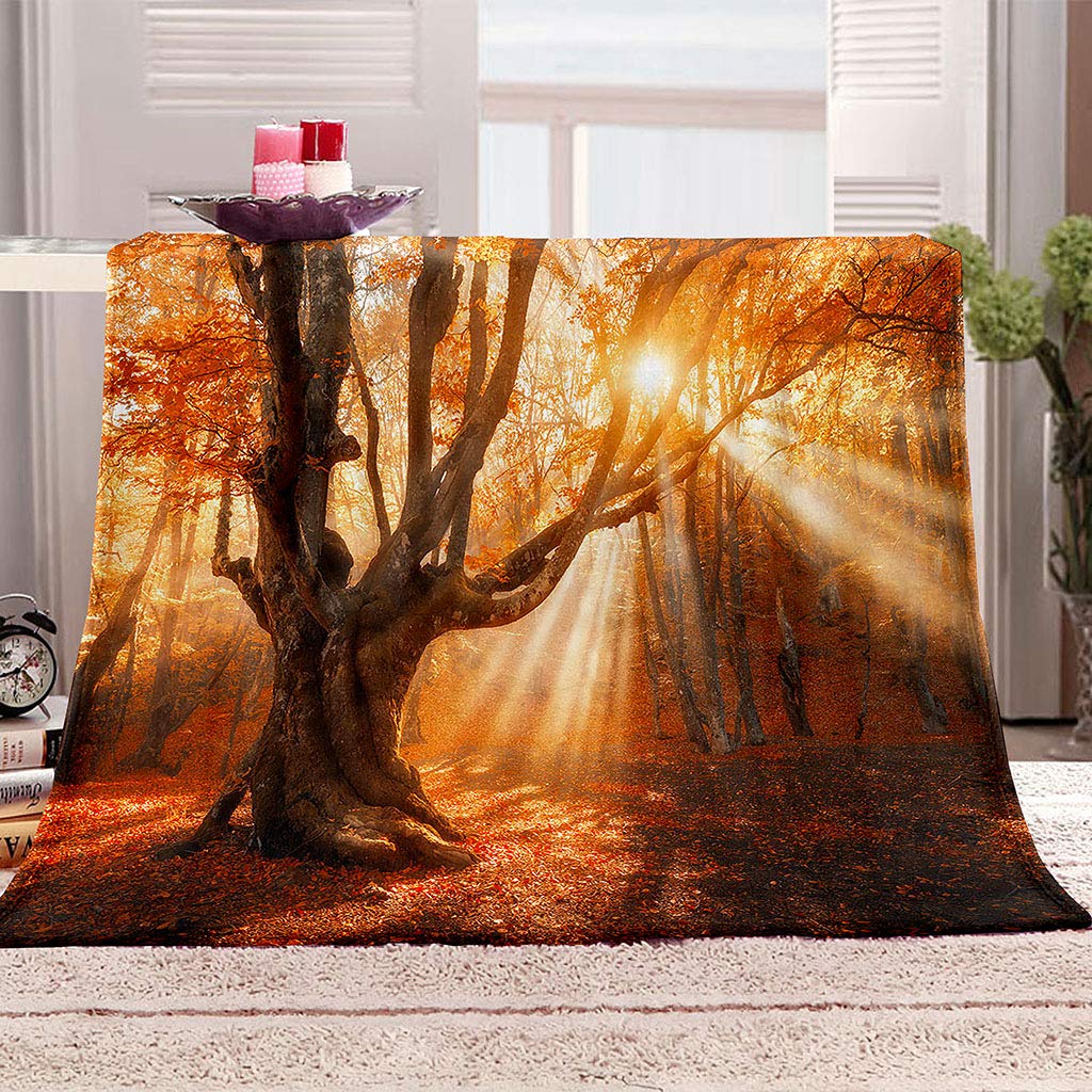 Mantas para Cama De Franela Invierno para Infantil Y Adulto 150X200Cm Manta Polar De Felpa De Microfibra Suave para Sofá, 3D Hojas Rojas como El Sol Patrón, Cálida Y Transpirable