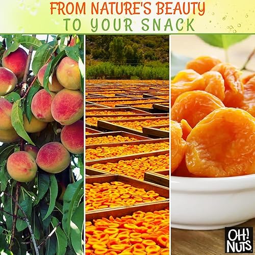 Miniatura 21 de Oh! Nuts Melocotones secos California – 2 libras – Rebanadas de frutas secas – Sin azúcar añadido – Empaquetado en bolsa con cierre de cremallera