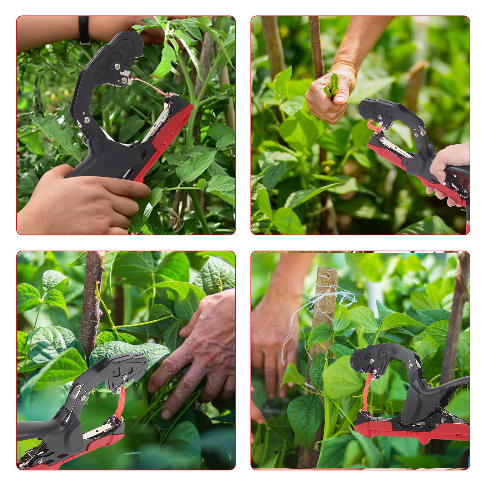 Máquina atadora de plantas, herramienta de atado de plantas con 10000 grapas, 20 rollos de cinta para plantas, pistola de cinta para uvas, frambuesas, tomates y verduras de vid (rojo)