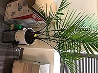 Review Image by ManBearPig ManBearPig