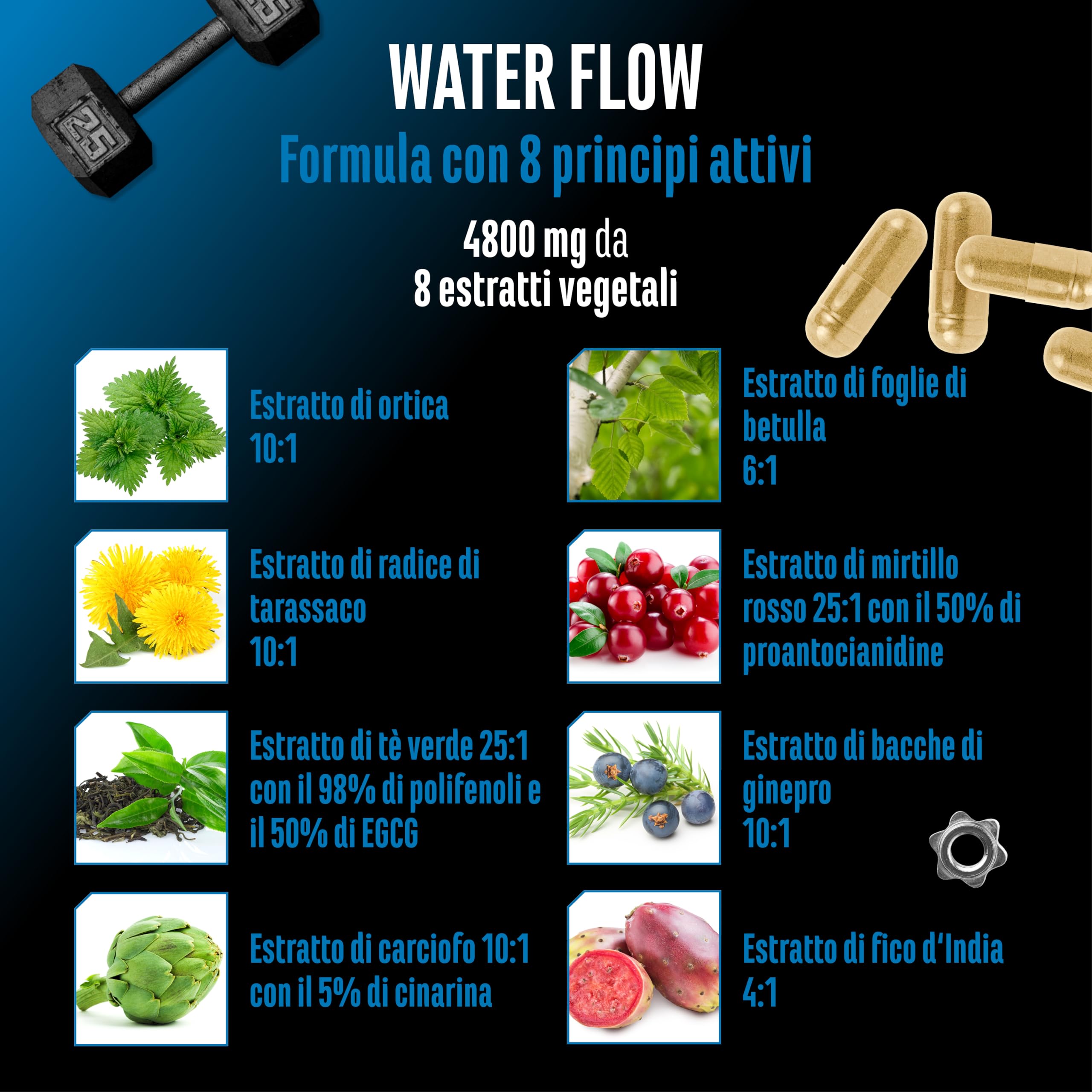 Water Flow Complex - 180 capsule - Con ortica, tarassaco, tè verde, carciofo e cranberry - Formula vegetale senza compresse diuretiche chimiche - Vegano, ad alto dosaggio