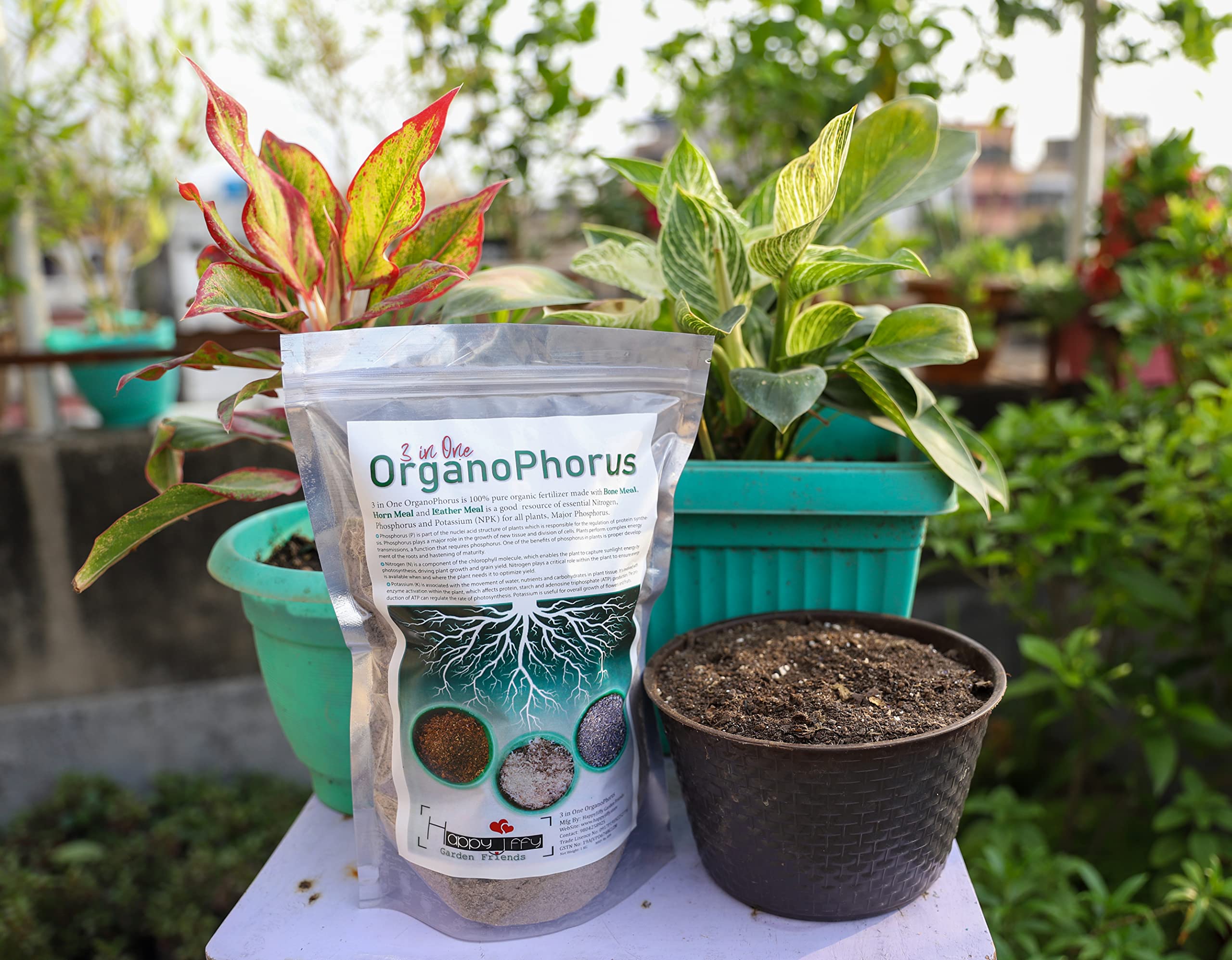 6 in One OrganoPhorus, an Organic Mixed Fertilizer for home gardening rich in Bone Meal, Horn Meal and Leather Meal, Neem Cake, Perlite and Trichoderma Viride. (500Gram) (B0B3DZRH59) Amazon Price History, Amazon Price Tracker