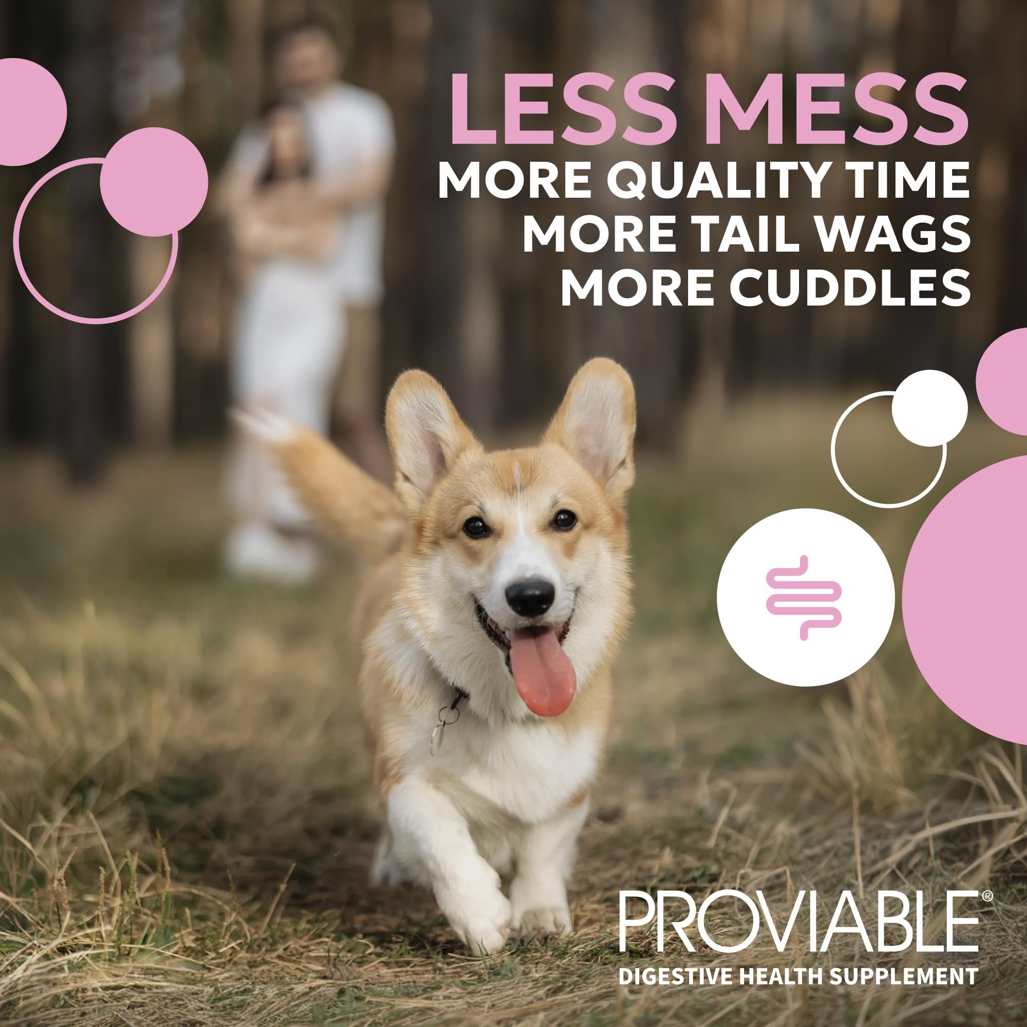 Nutramax Proviable Probiotics + Prebiotics for Dogs, Chewable Tablets, 60ct — Amazon image 2
