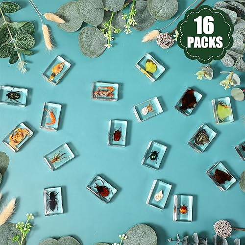 Miniatura 4 de 16 piezas de insectos en resina colección de insectos de mariposa, pisapapeles, 16 estilos de espécimen de insectos reales preservados en resina
