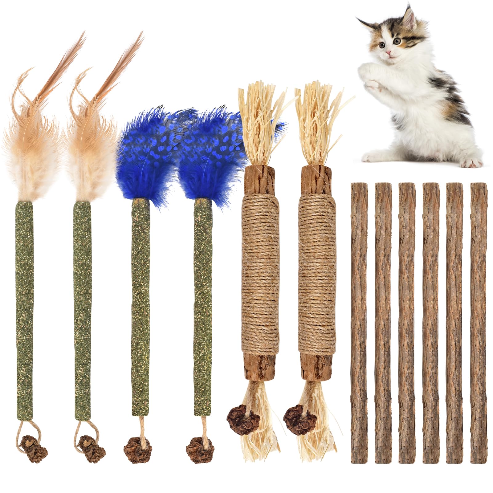 Bissap 12 PCS Silvervine Chew Sticks for Cats, Catnip Chew Sticks Cat Toys for Indoor Cat Kitten Teeth Grinding Interactive Feather Toys for