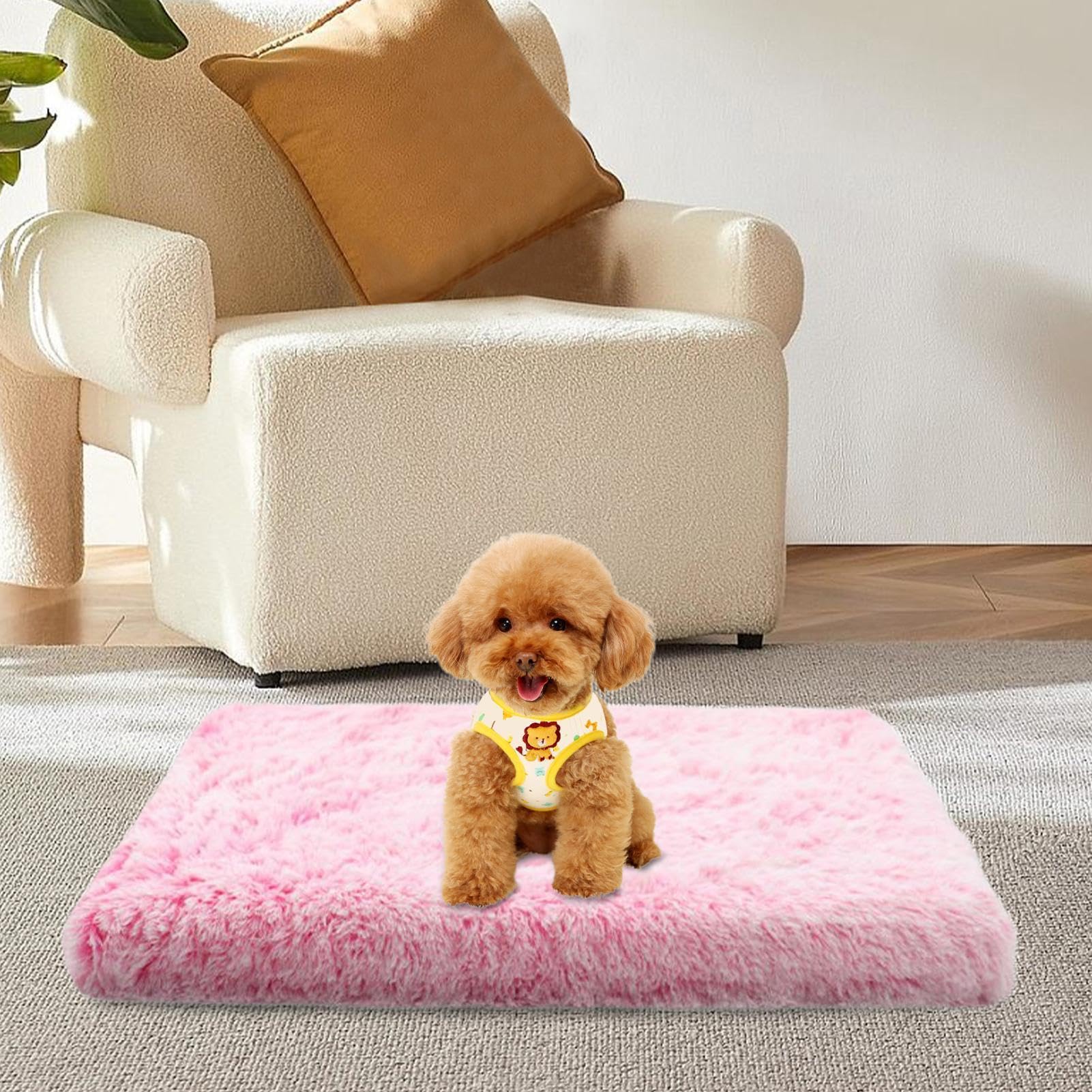 Tapis Chauffant Pour Chats Doux Et Portable