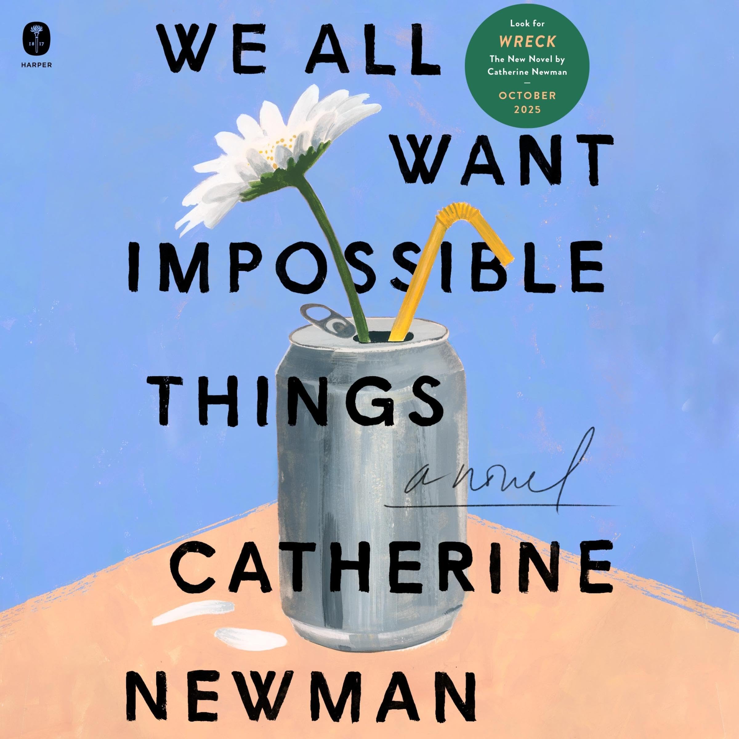 We All Want Impossible Things: A Novel