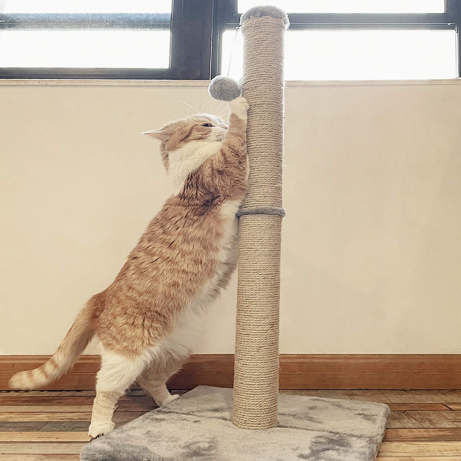 Poils bebe Rascador para gatos grandes, 74,5 cm, árboles rascadores y torres con cuerda de sisal, muebles para gatos y gatos medianos para jugar con bola colgante.