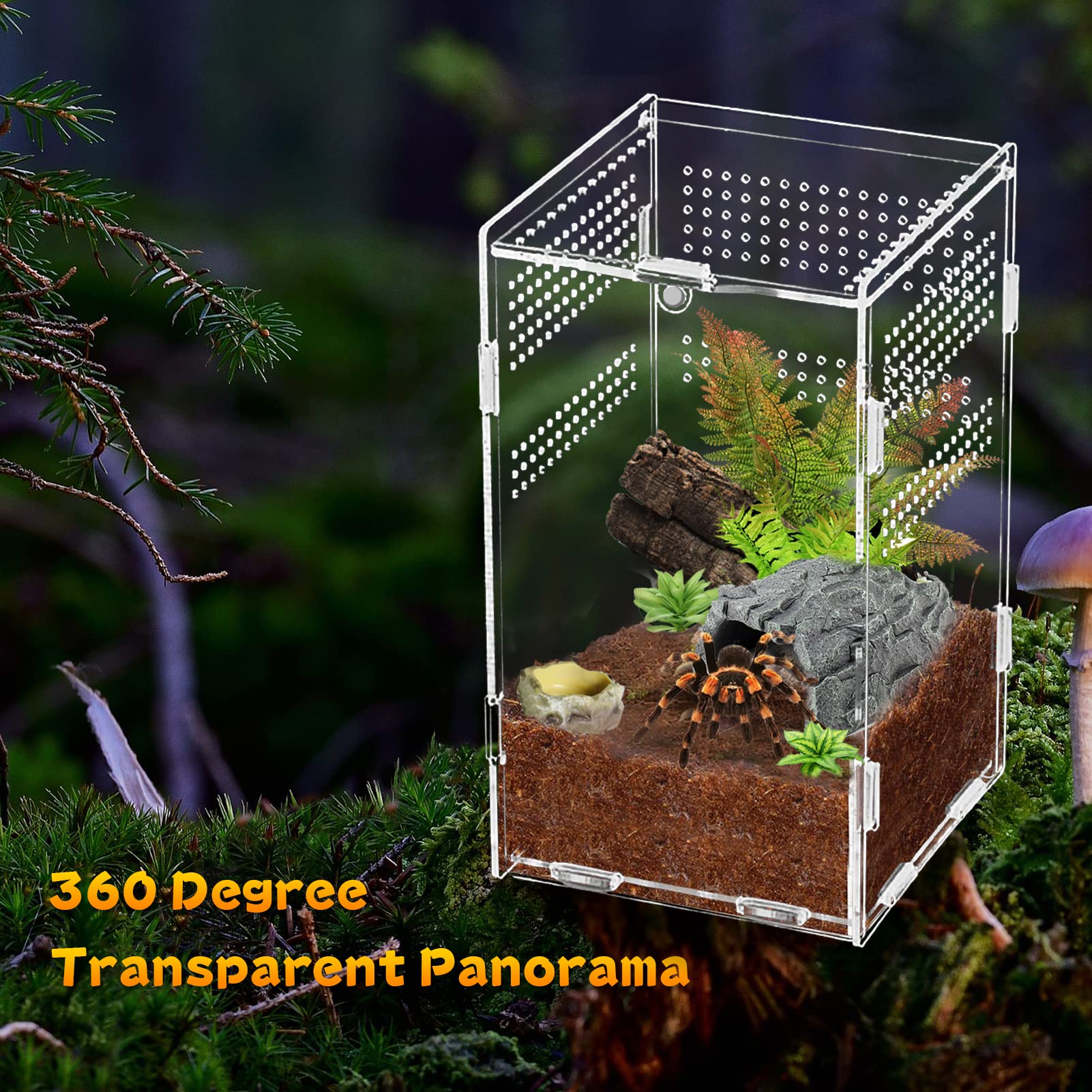 Insect Feeding Box, Acrylic Reptile Breeding Box, Reptile Terrariums