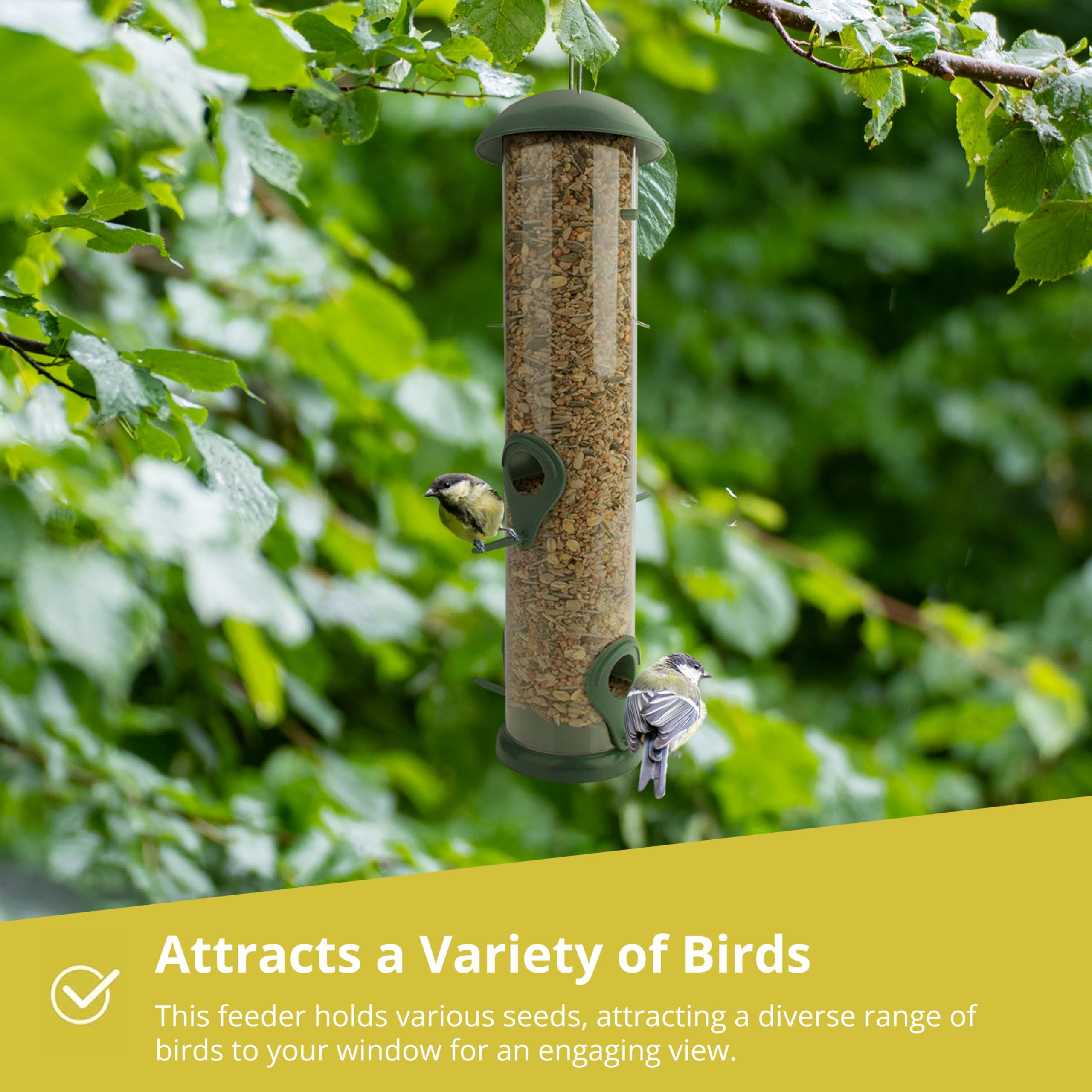 WILDLIFE FRIEND I Comedero para pájaros de Grano, Color Verde, con 2 Zonas de Acceso, estación de alimentación para pájaros, Columna de alimentación, Granos para Aves Silvestres (20cm) - 5