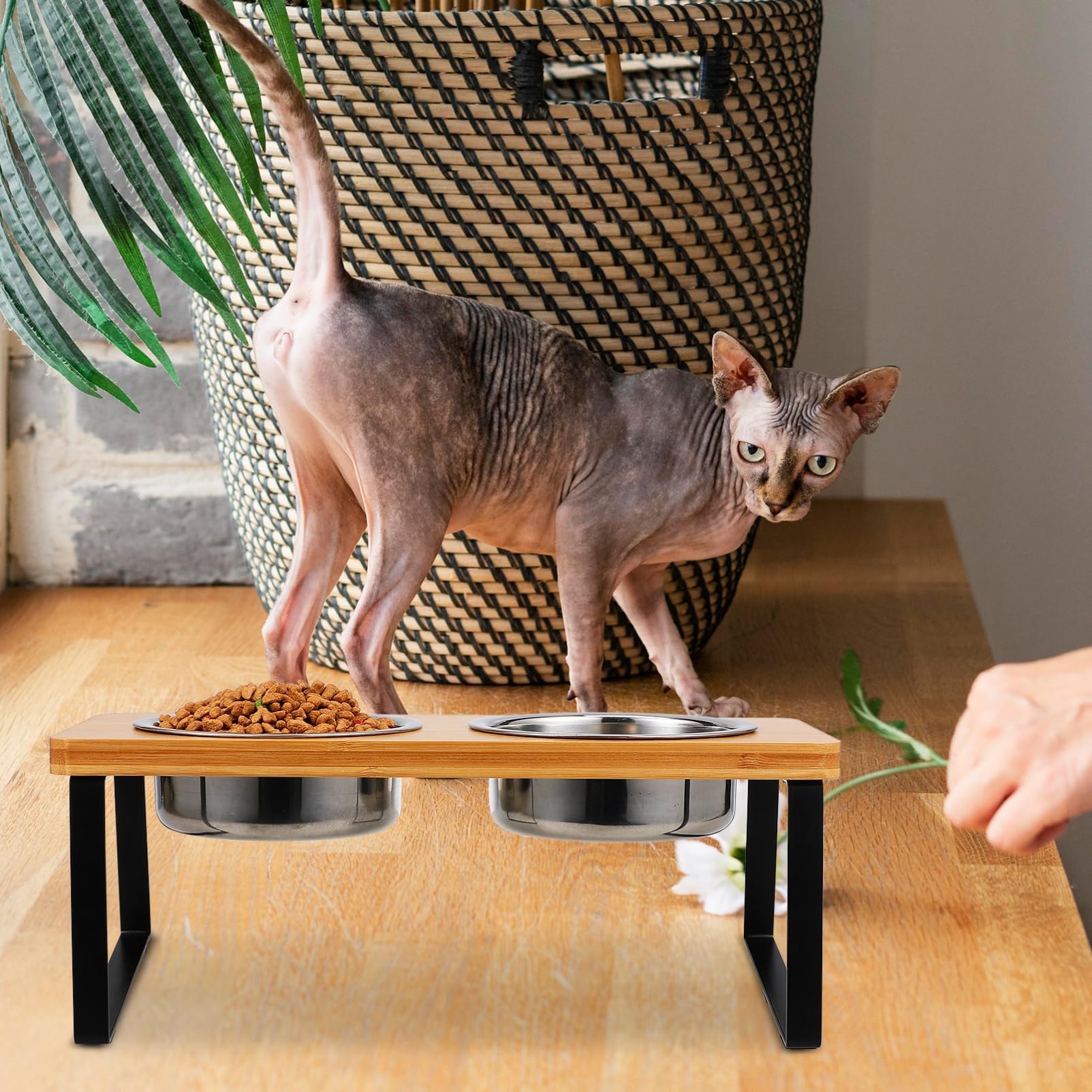 Ciotola per Gatti Rialzata con Doppie Ciotole in Acciaio | Set con Supporto, Uso Interno per Gatto e Cane Piccolo, Design Elegante, Legno e Acciaio Inox
