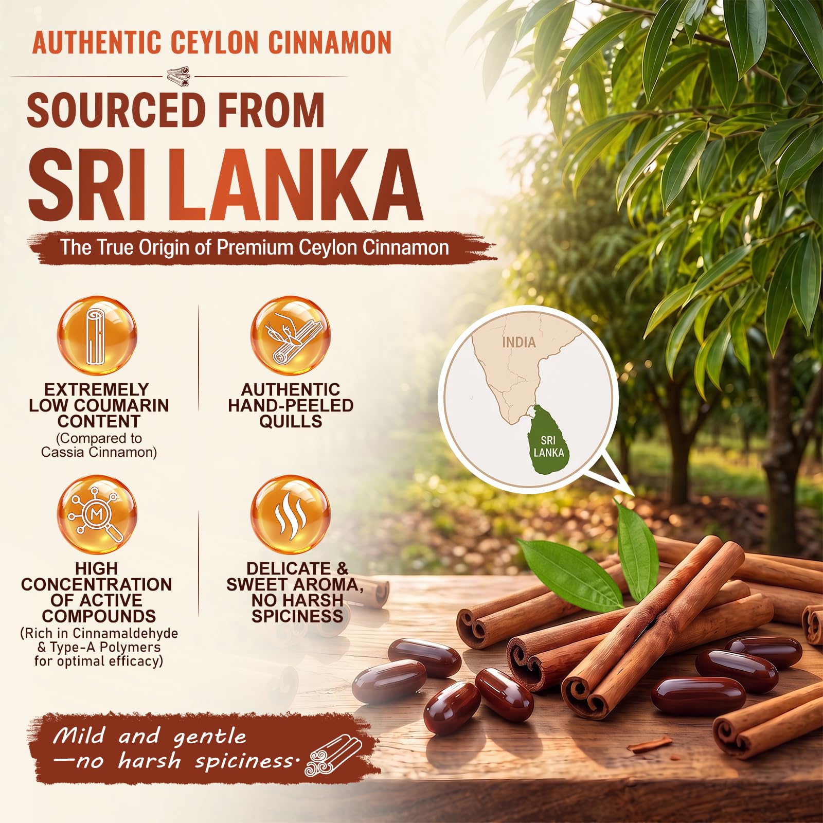 Ceylon Cinnamon Softgels with MCT Oil, Sri Lanka Ceylon Cinnamon Capsules, 550mg Per Softgel 120 Day Supply Ceylon Cinnamon, Highly Bioavailable Extract, Energy & Metabolism Support, 120 Softgels — Amazon image 2