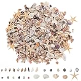 JQAQJU 1000 PCS Mini Sea Shells Small Starfish Mixed, 20 Kinds of Tiny Seashells Bulk for Crafting, Beach Natural Spiral Conch Shells for Crafts DIY Beach Theme Party Candle Decor Wedding Fish Tank